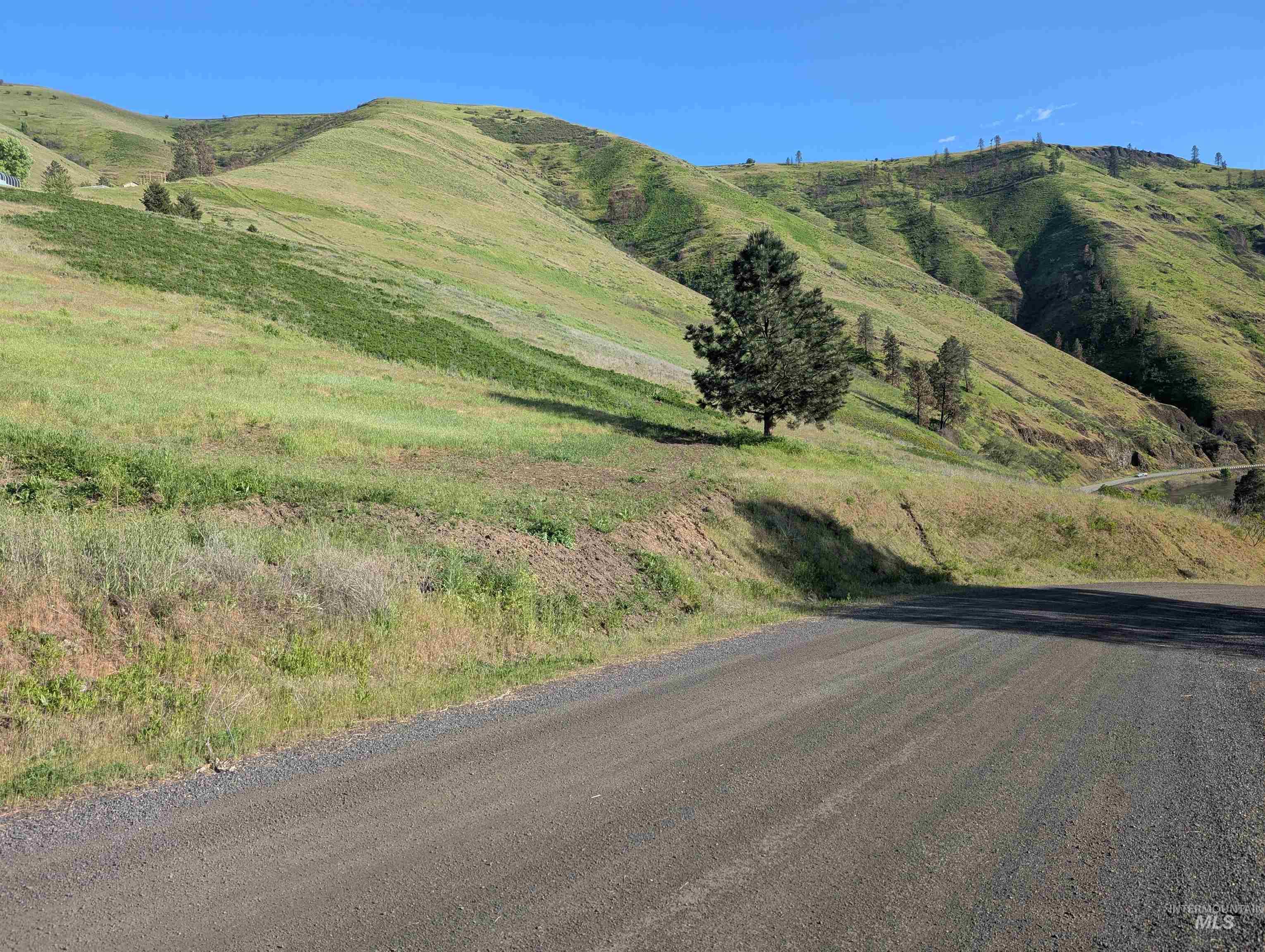 TBD Clearwater Drive, Juliaetta, Idaho 83535, Land For Sale, Price $289,000, 98946099