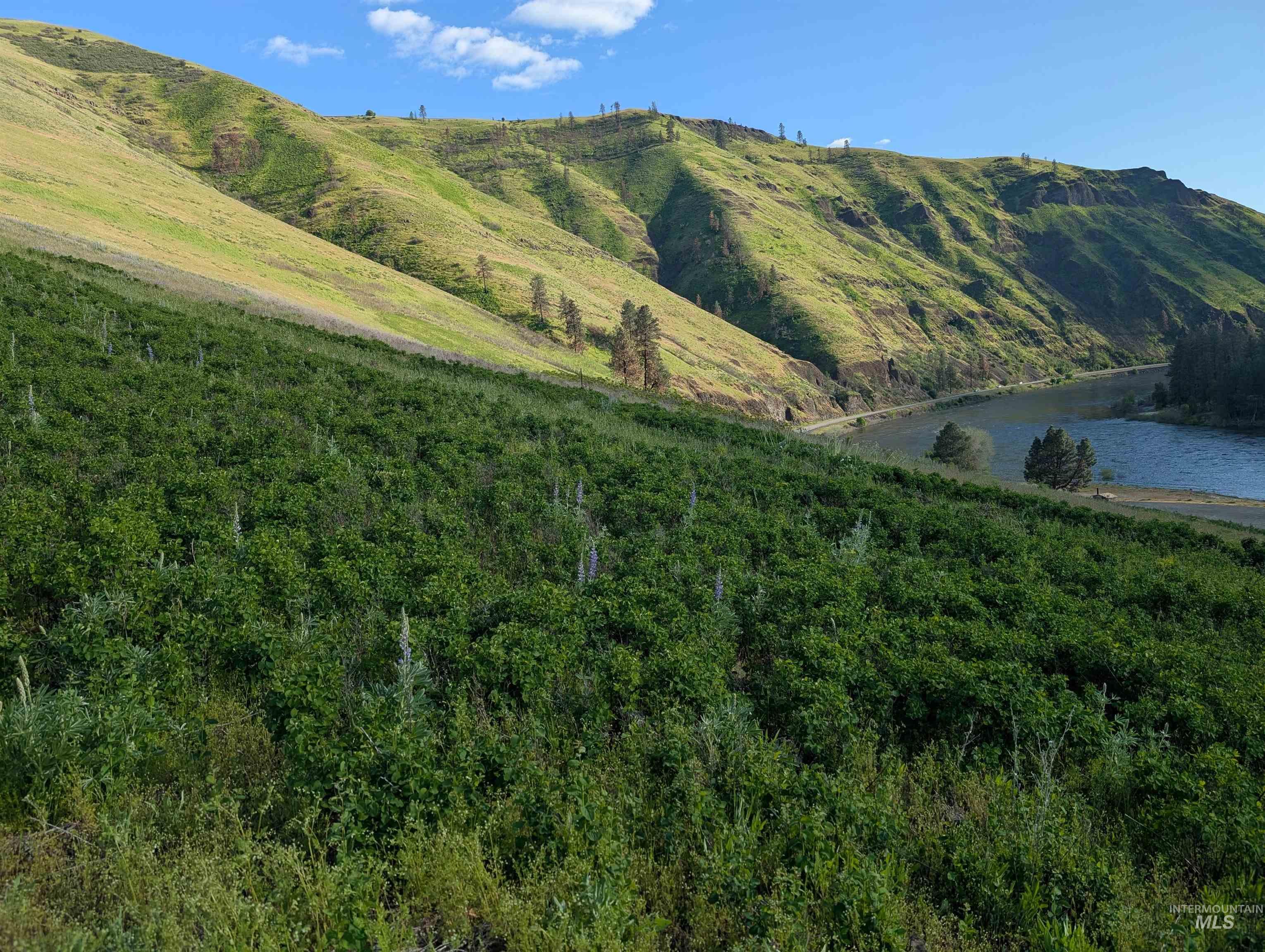 TBD Clearwater Drive, Juliaetta, Idaho 83535, Land For Sale, Price $289,000, 98946099