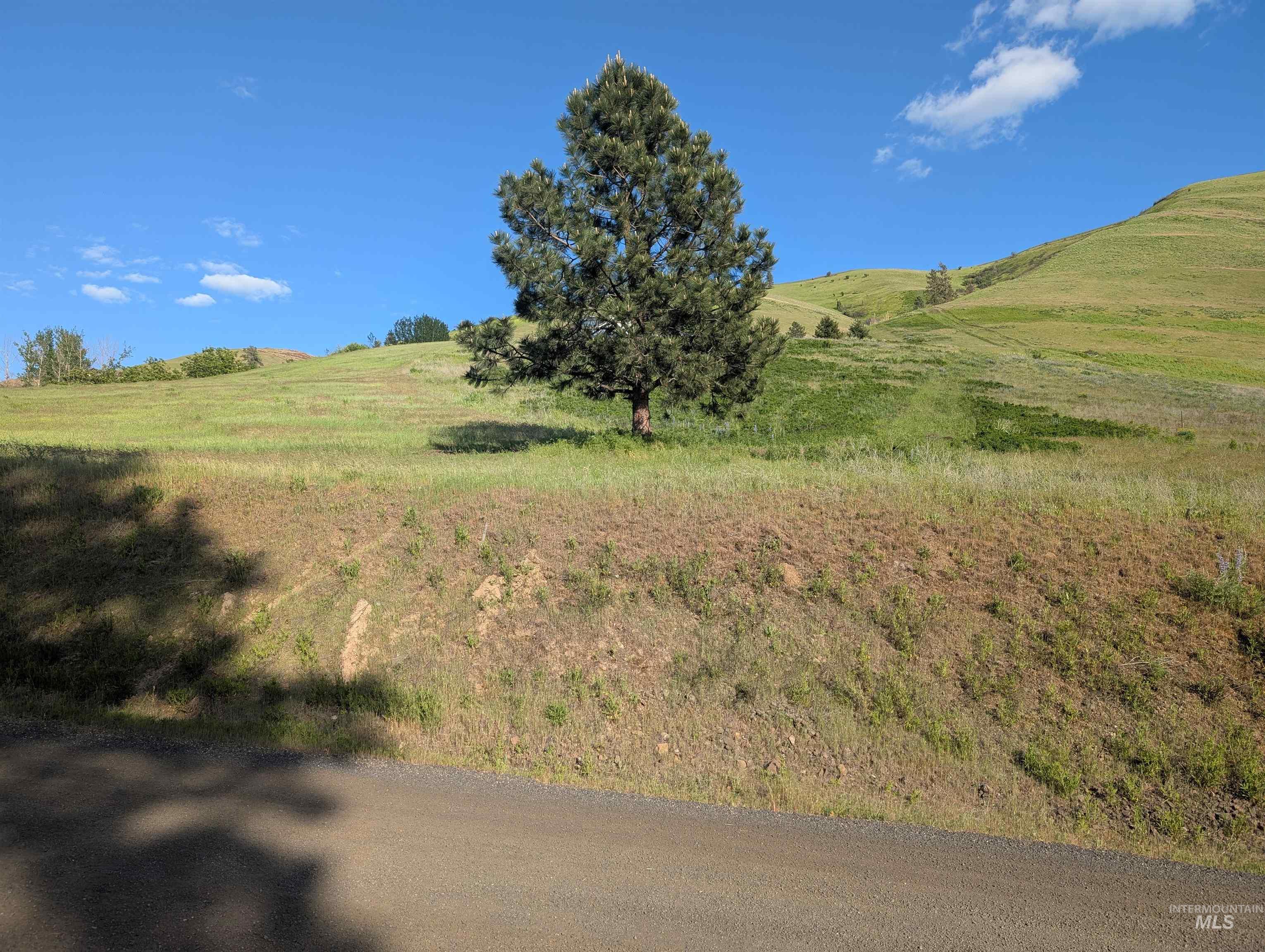 TBD Clearwater Drive, Juliaetta, Idaho 83535, Land For Sale, Price $289,000, 98946099