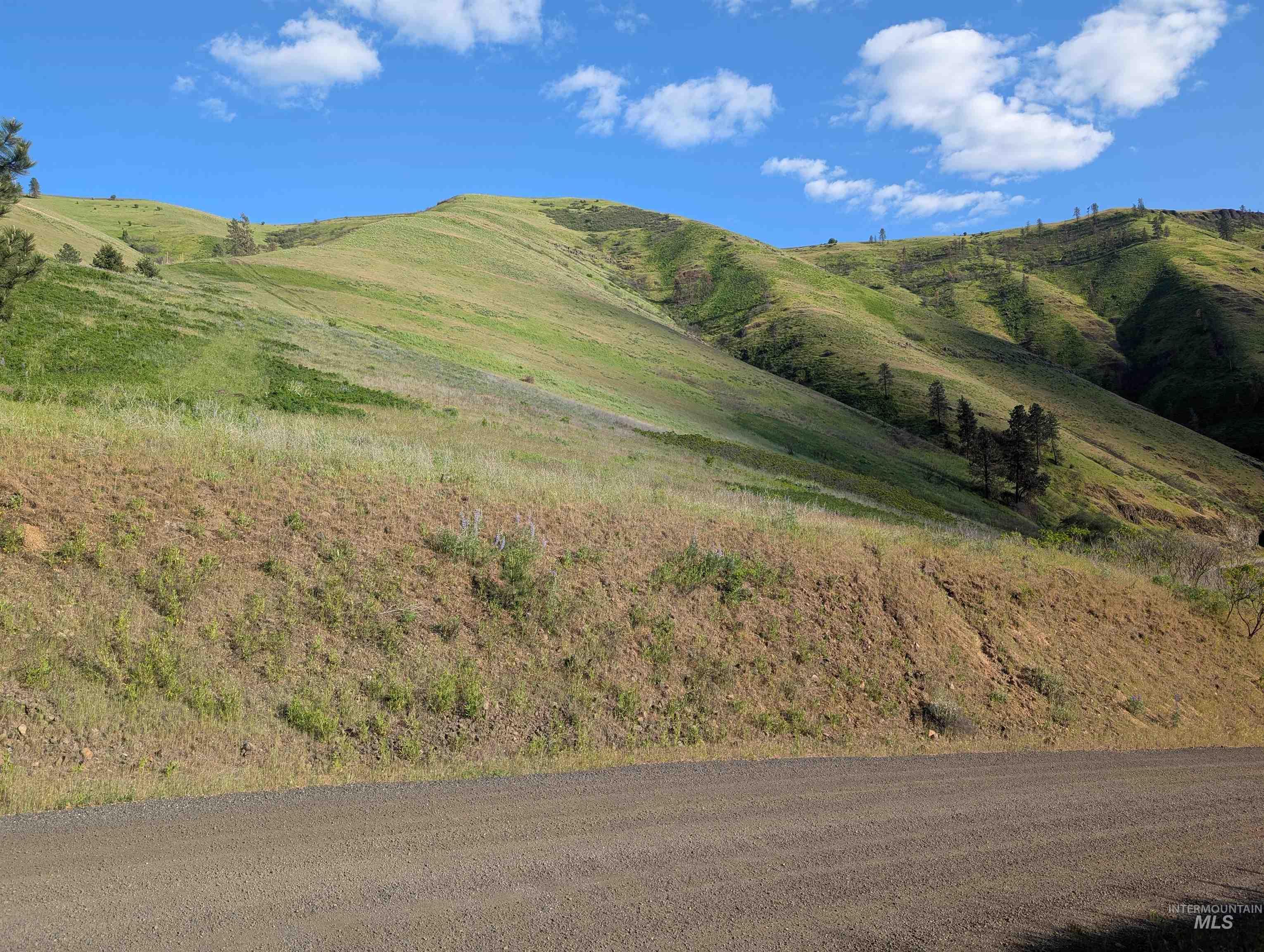 TBD Clearwater Drive, Juliaetta, Idaho 83535, Land For Sale, Price $289,000, 98946099