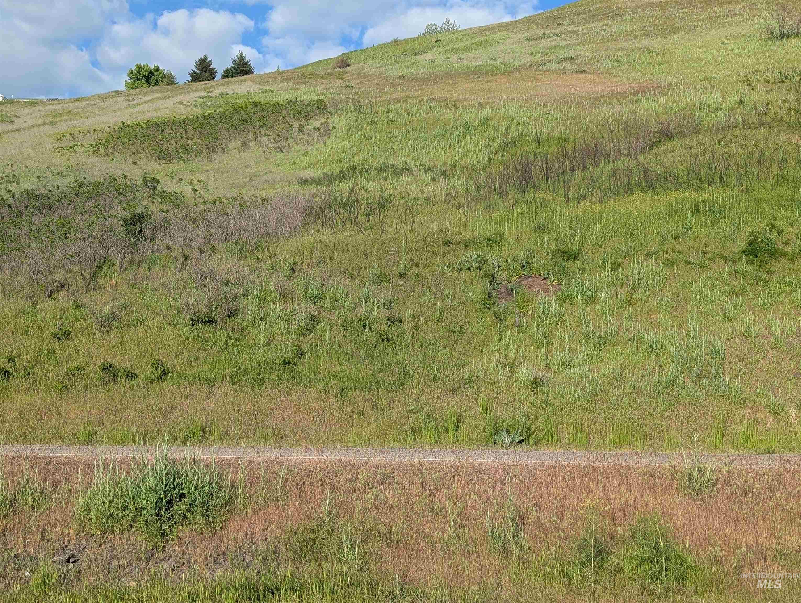 TBD Clearwater Drive, Juliaetta, Idaho 83535, Land For Sale, Price $289,000, 98946099