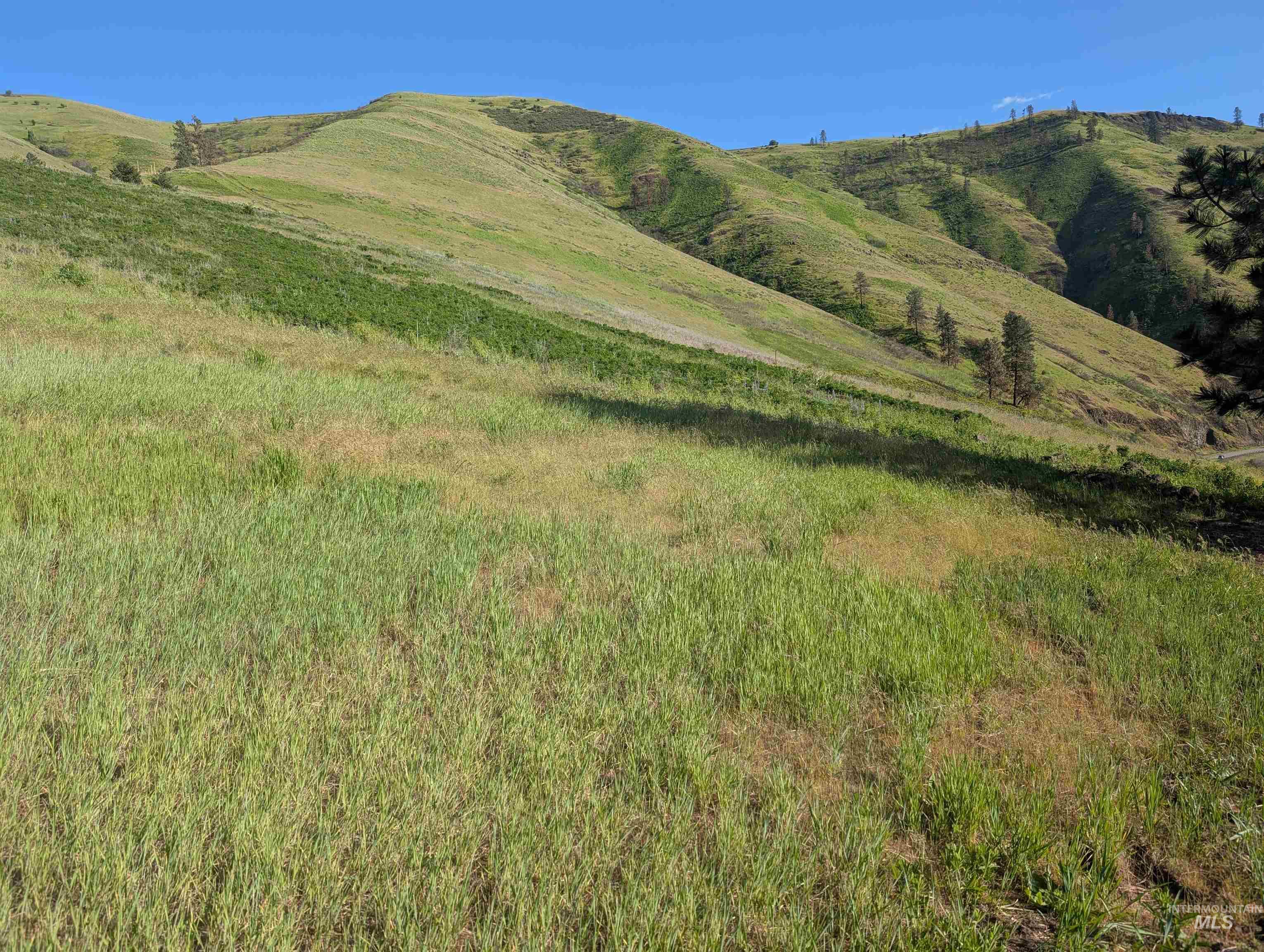 TBD Clearwater Drive, Juliaetta, Idaho 83535, Land For Sale, Price $289,000, 98946099