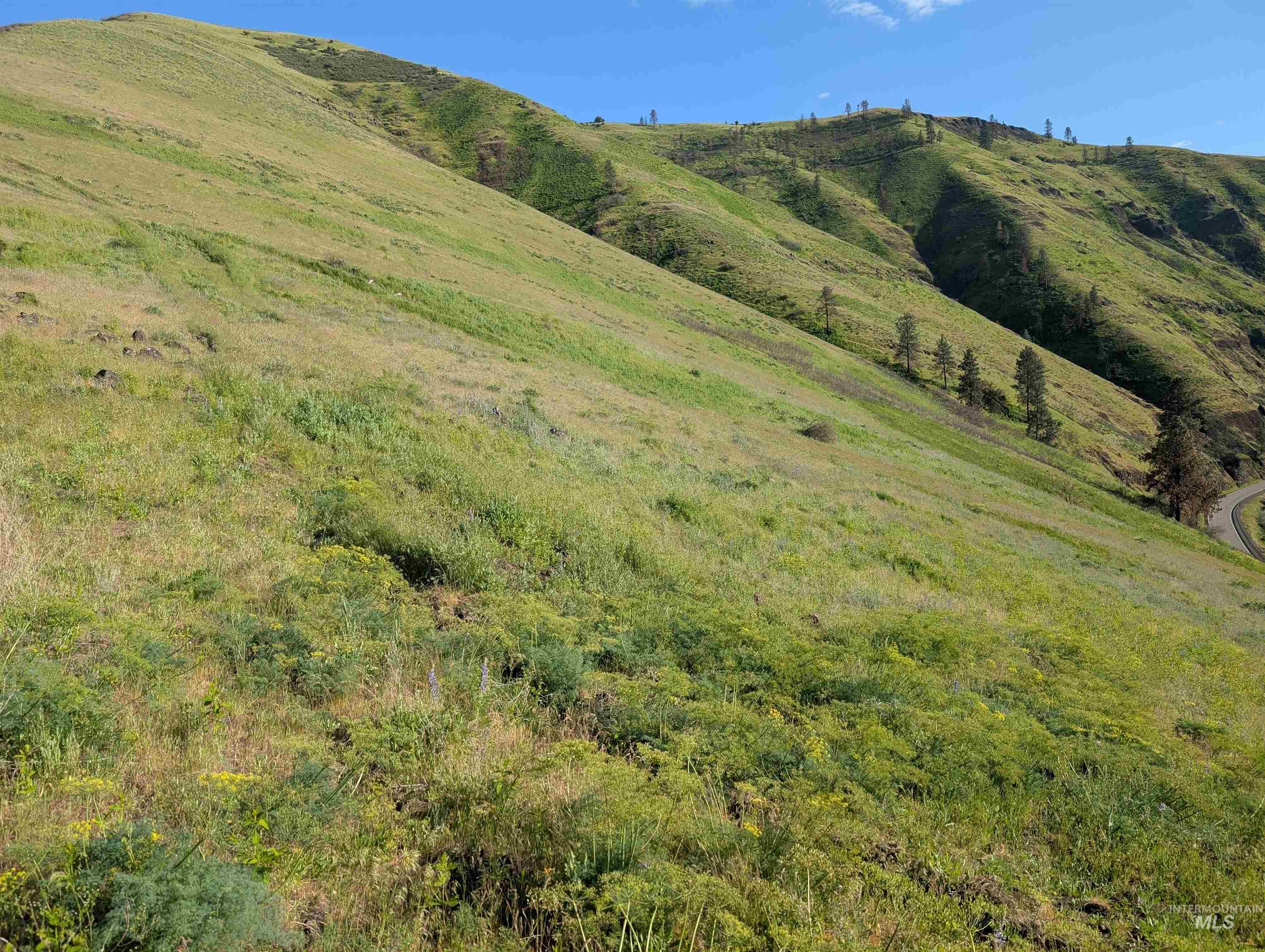 TBD Clearwater Drive, Juliaetta, Idaho 83535, Land For Sale, Price $289,000, 98946099