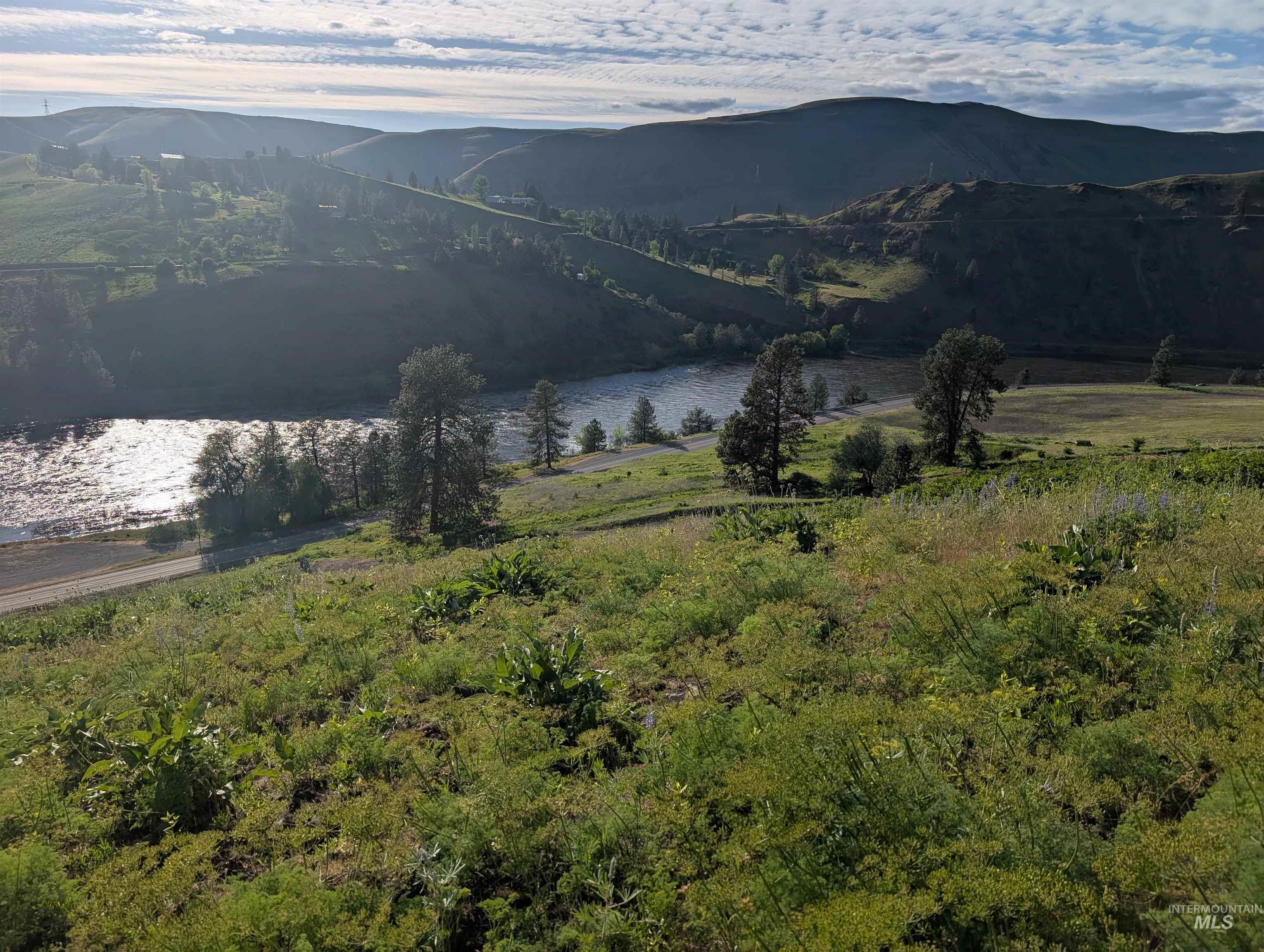 TBD Clearwater Drive, Juliaetta, Idaho 83535, Land For Sale, Price $289,000, 98946099