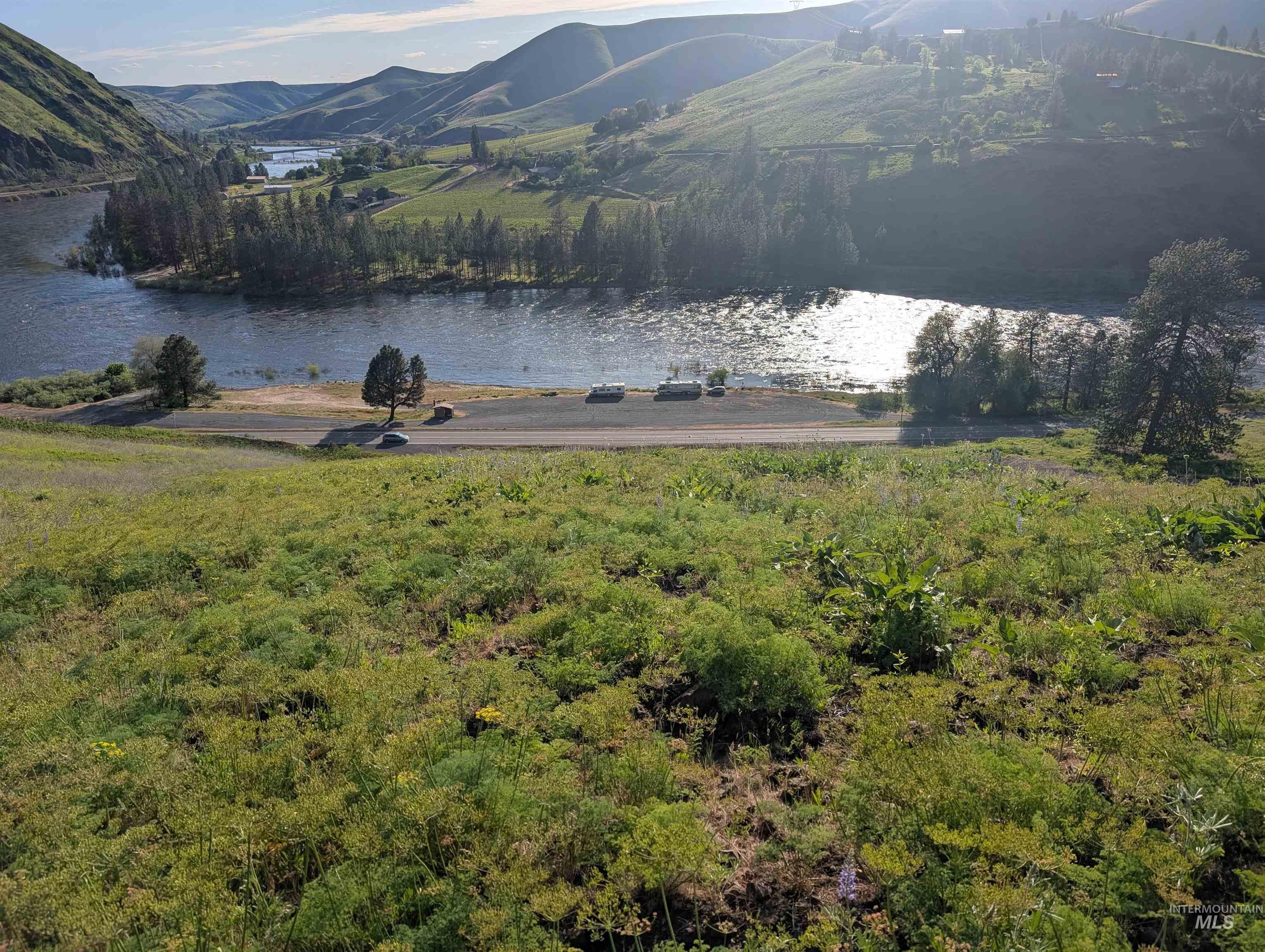 TBD Clearwater Drive, Juliaetta, Idaho 83535, Land For Sale, Price $289,000, 98946099