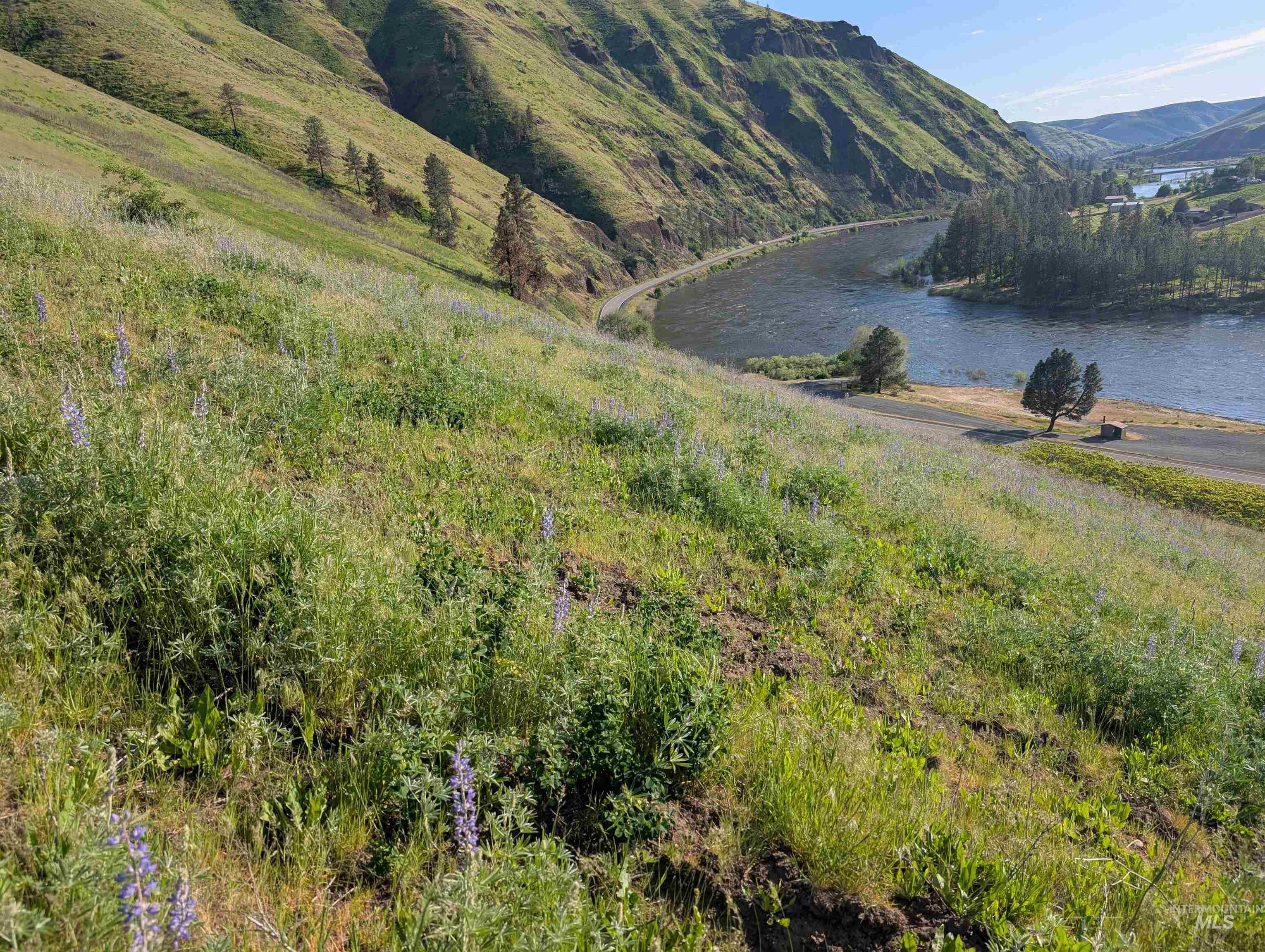TBD Clearwater Drive, Juliaetta, Idaho 83535, Land For Sale, Price $289,000, 98946099