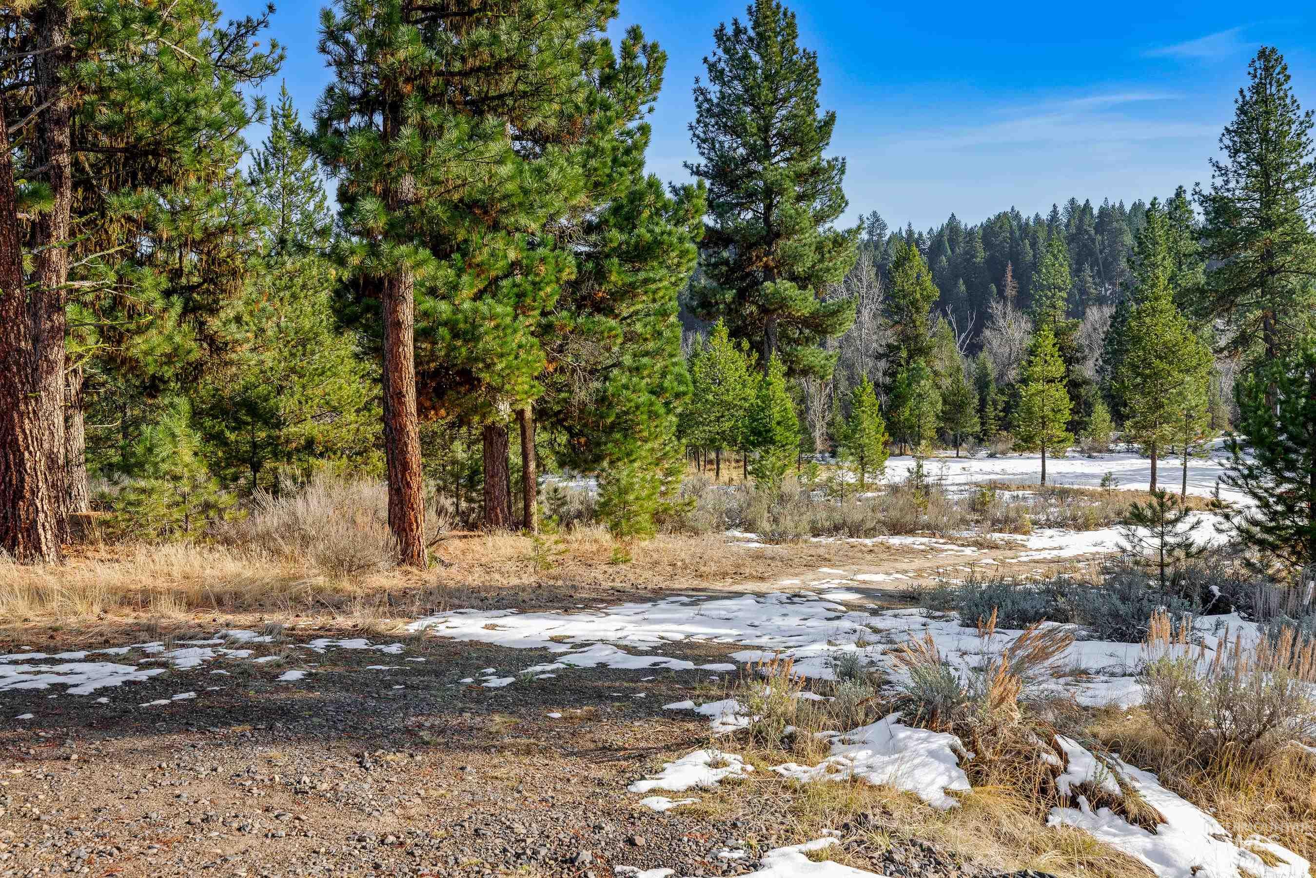 16 Eveningstar Ln, McCall, Idaho 83638, Land For Sale, Price $435,000, 98946148