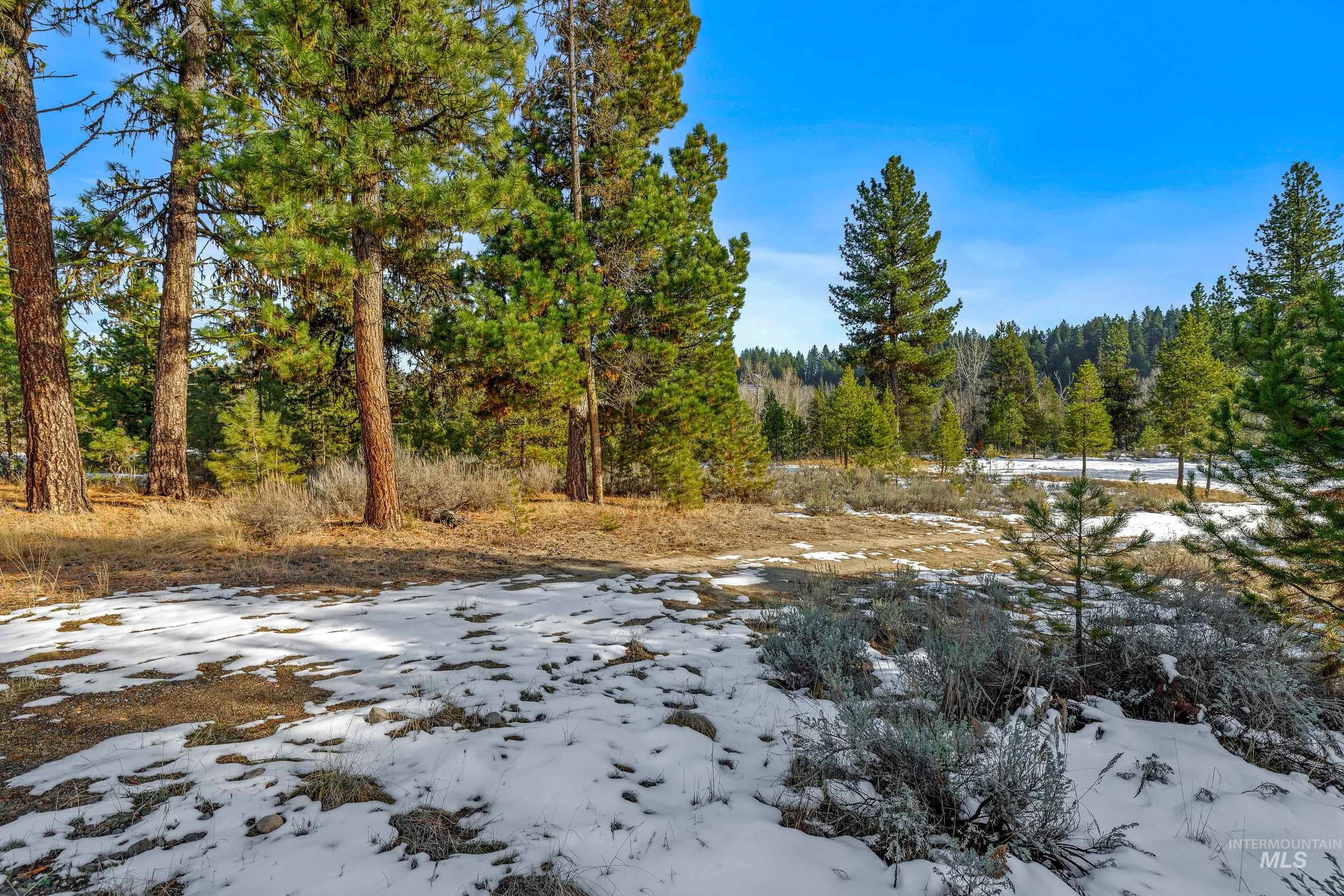 16 Eveningstar Ln, McCall, Idaho 83638, Land For Sale, Price $435,000, 98946148