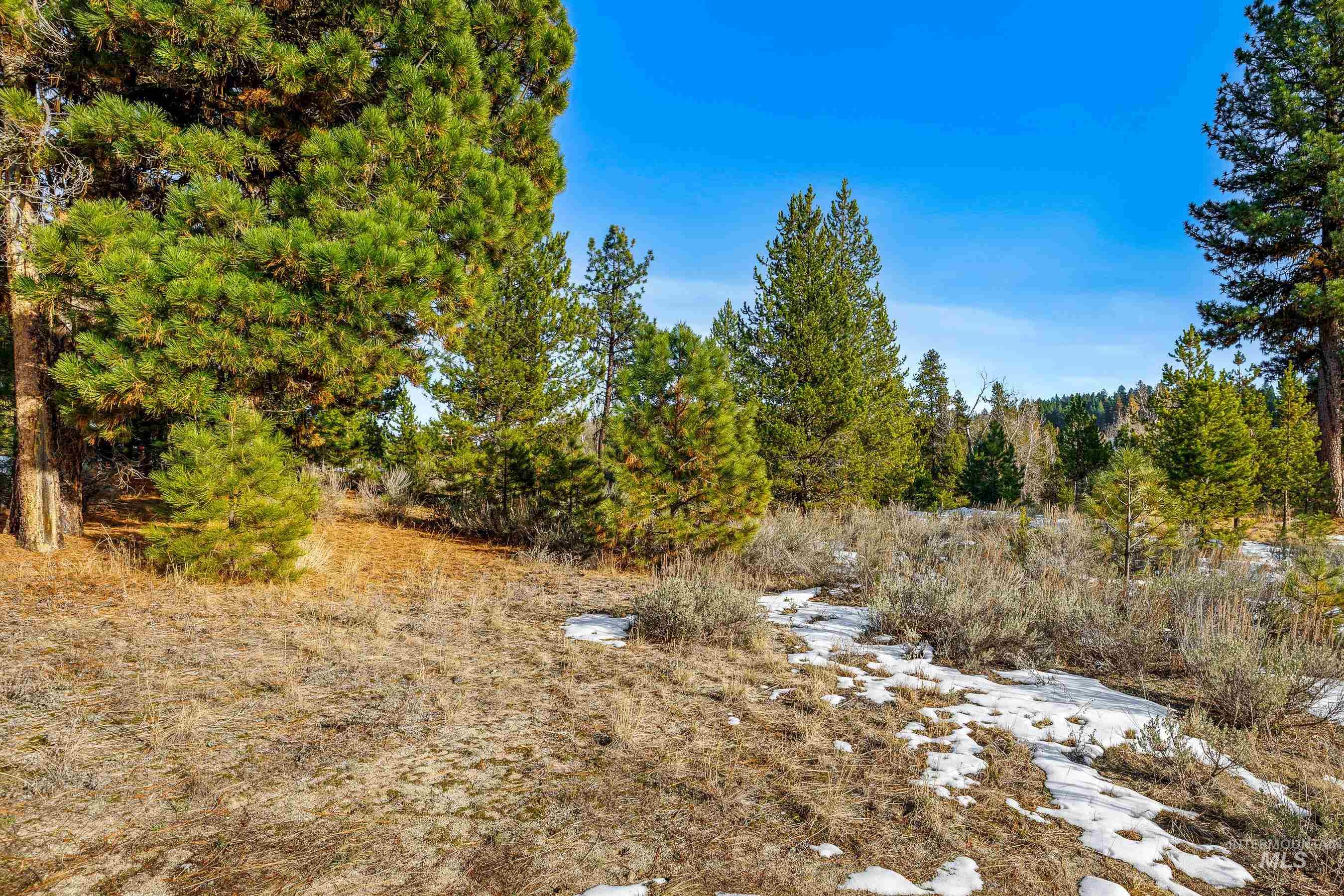 16 Eveningstar Ln, McCall, Idaho 83638, Land For Sale, Price $435,000, 98946148