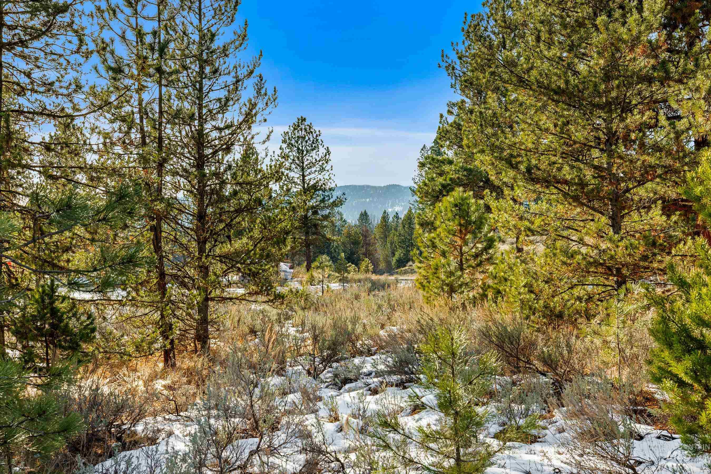 16 Eveningstar Ln, McCall, Idaho 83638, Land For Sale, Price $435,000, 98946148
