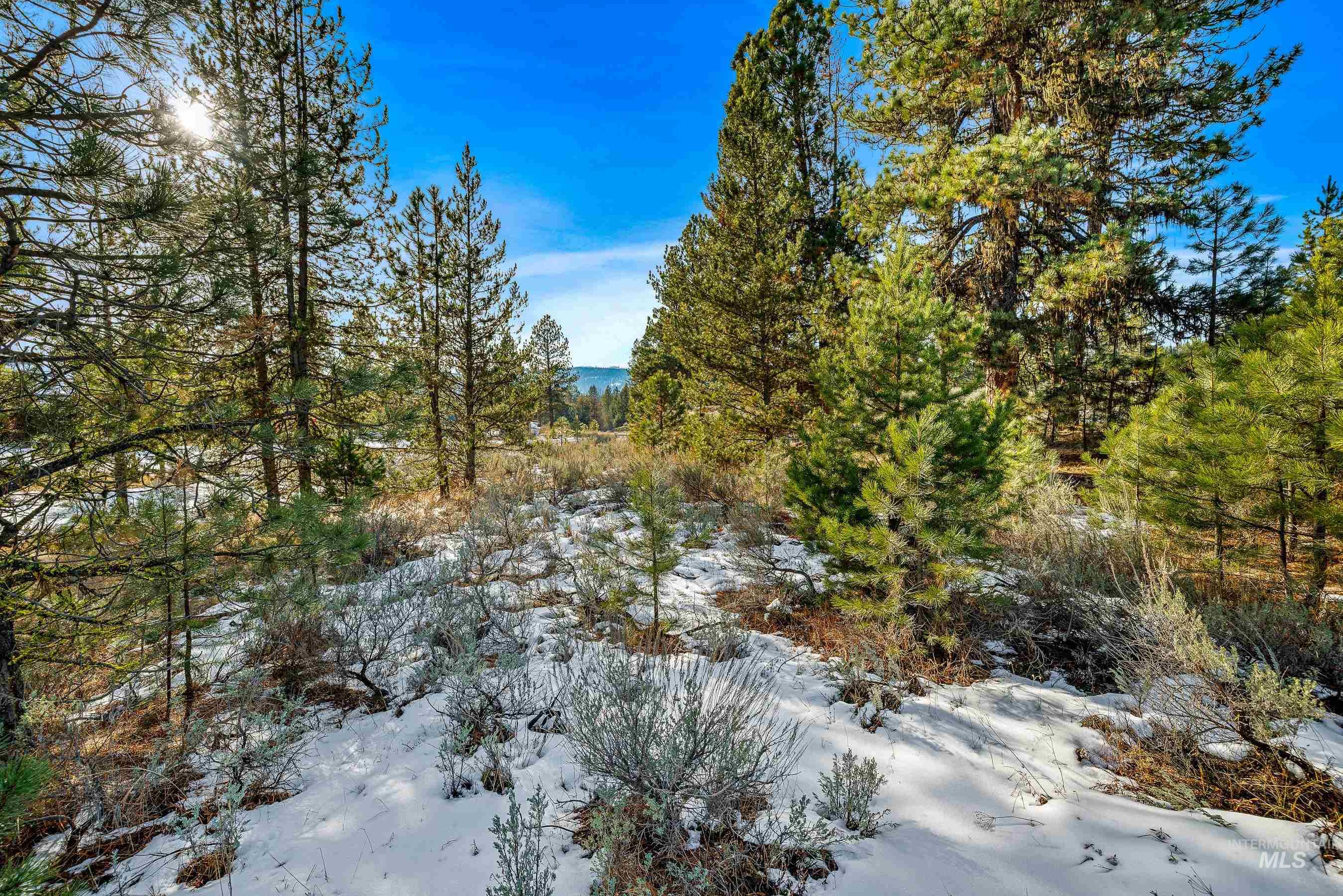 16 Eveningstar Ln, McCall, Idaho 83638, Land For Sale, Price $435,000, 98946148