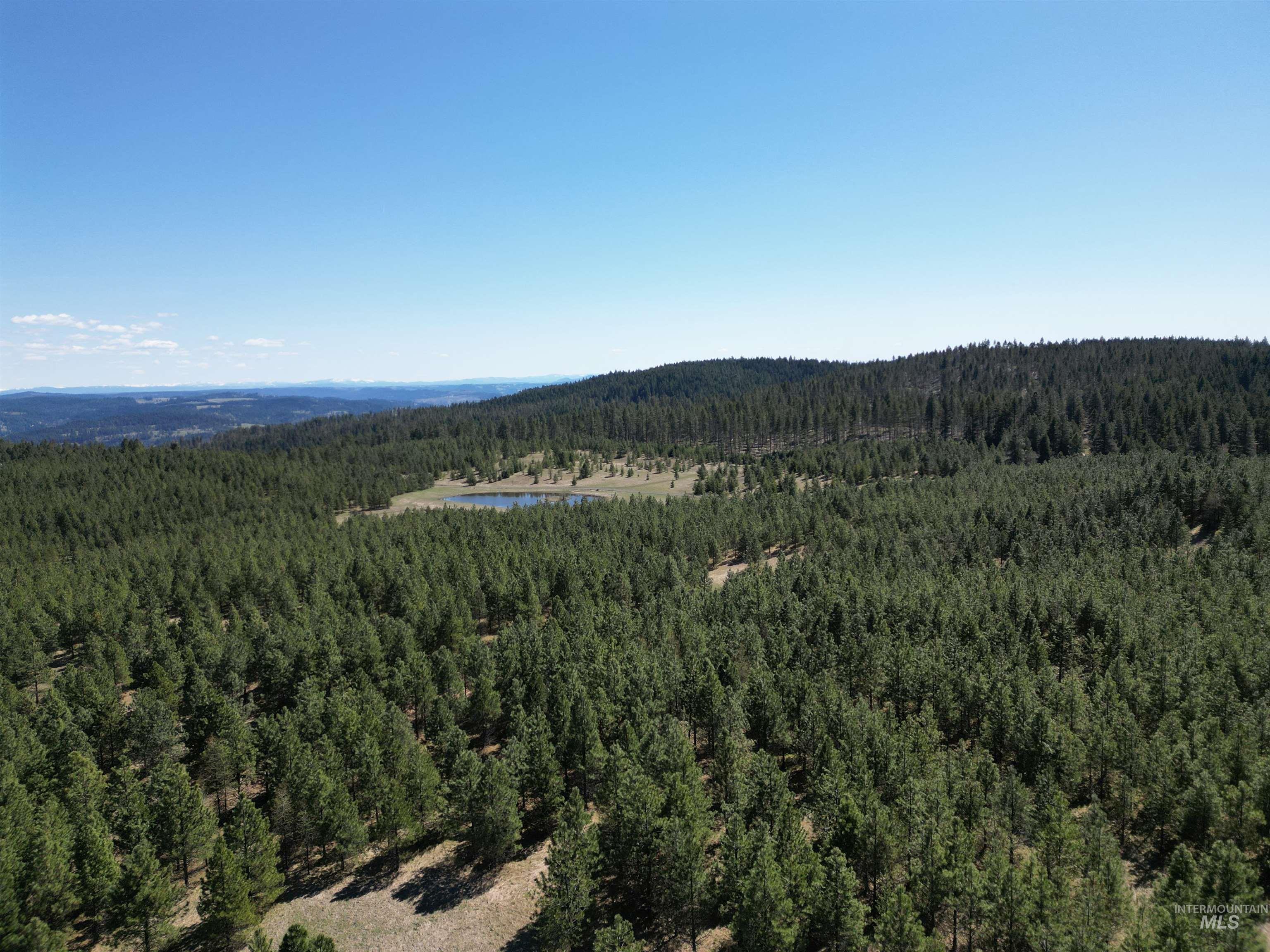 4975 Middle Road, Lenore, Idaho 83541, 1 Bedroom, 1.5 Bathrooms, Residential For Sale, Price $1,950,000, 98946171