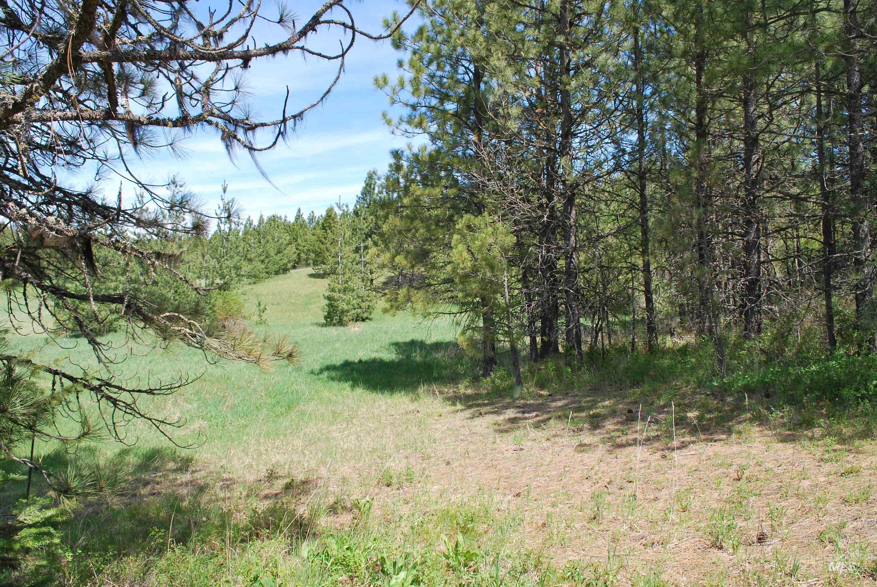 4975 Middle Road, Lenore, Idaho 83541, 1 Bedroom, 1.5 Bathrooms, Residential For Sale, Price $1,950,000, 98946171