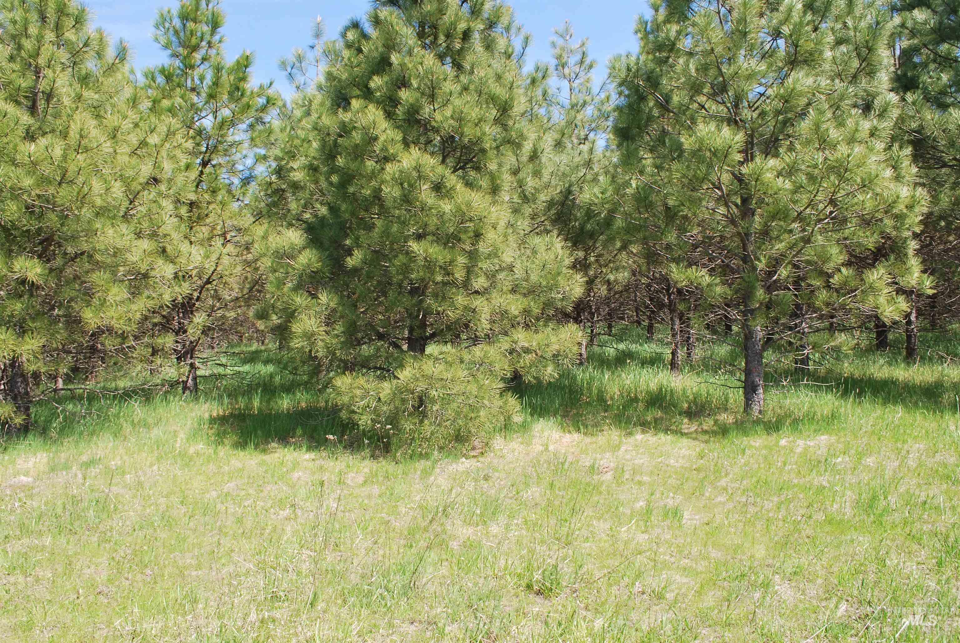 4975 Middle Road, Lenore, Idaho 83541, 1 Bedroom, 1.5 Bathrooms, Residential For Sale, Price $1,950,000, 98946171
