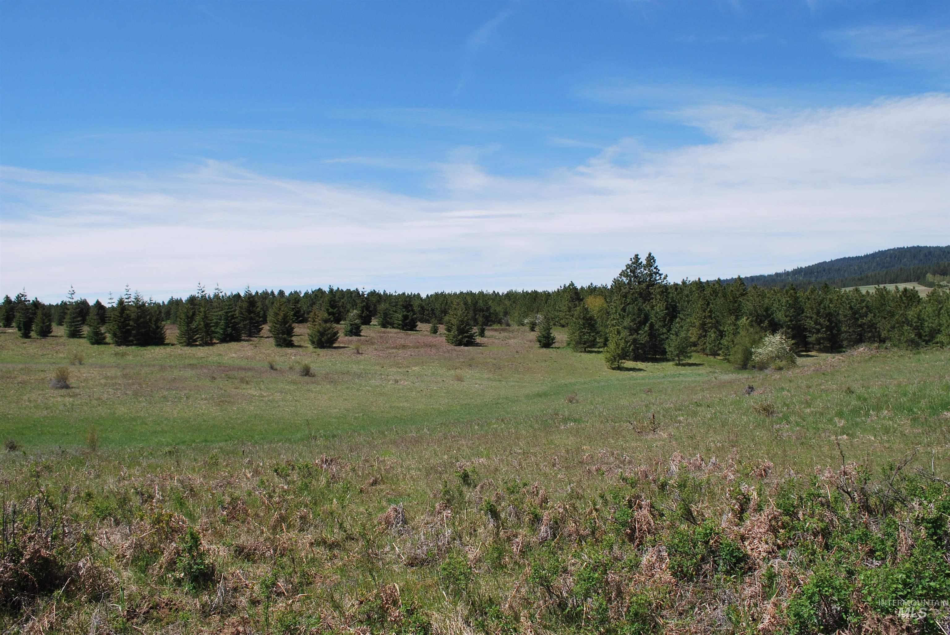 4975 Middle Road, Lenore, Idaho 83541, 1 Bedroom, 1.5 Bathrooms, Residential For Sale, Price $1,950,000, 98946171