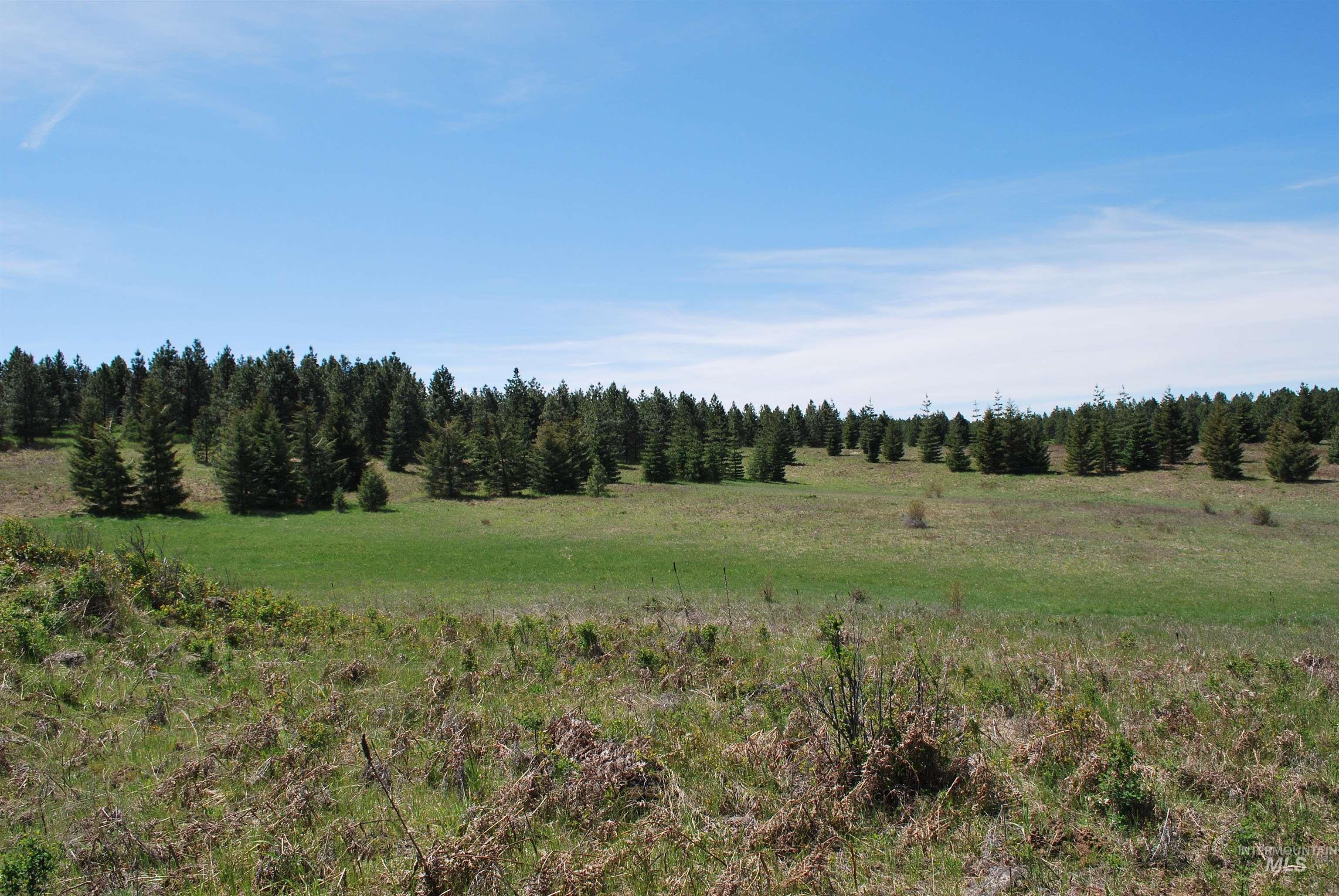 4975 Middle Road, Lenore, Idaho 83541, 1 Bedroom, 1.5 Bathrooms, Residential For Sale, Price $1,950,000, 98946171
