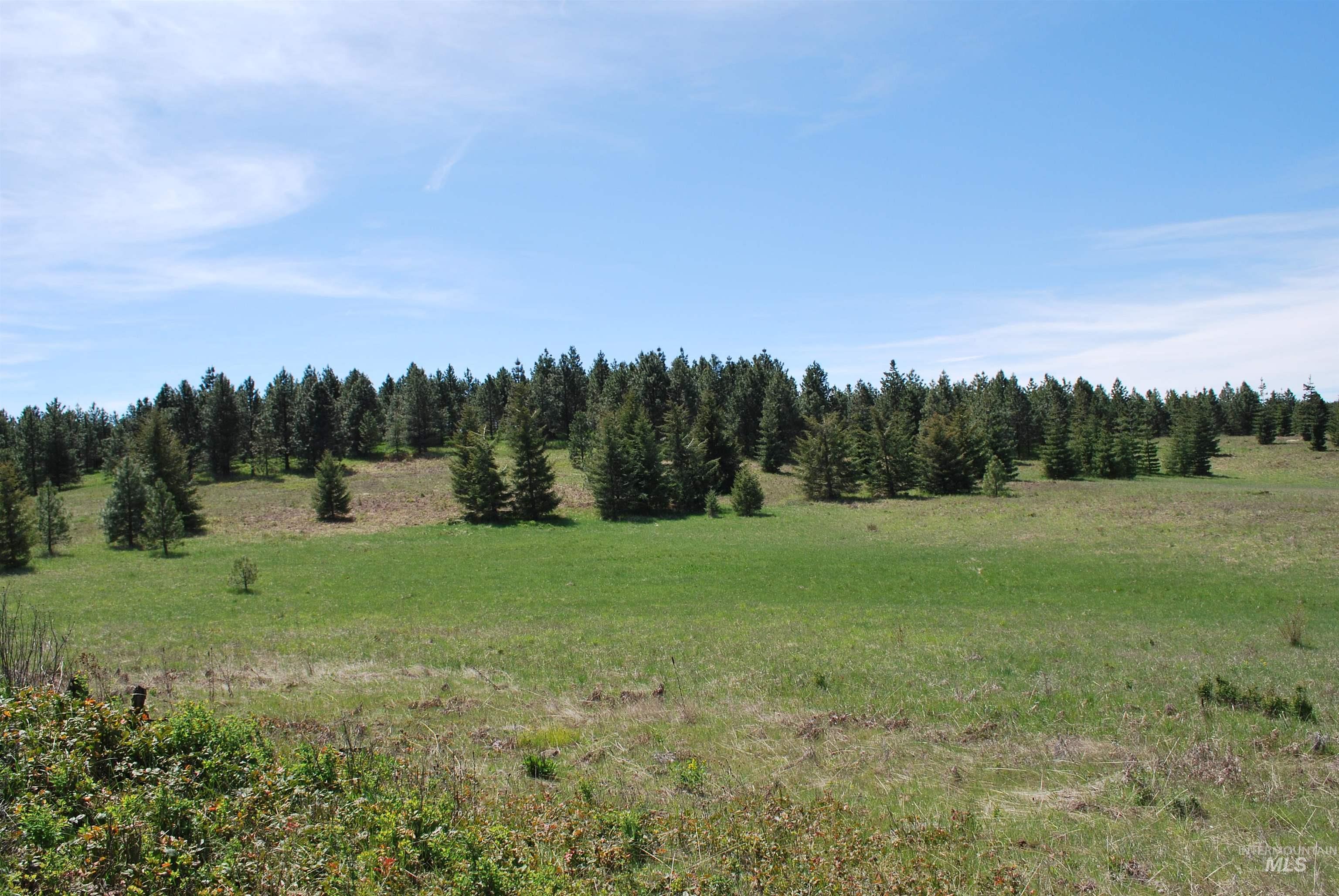 4975 Middle Road, Lenore, Idaho 83541, 1 Bedroom, 1.5 Bathrooms, Residential For Sale, Price $1,950,000, 98946171