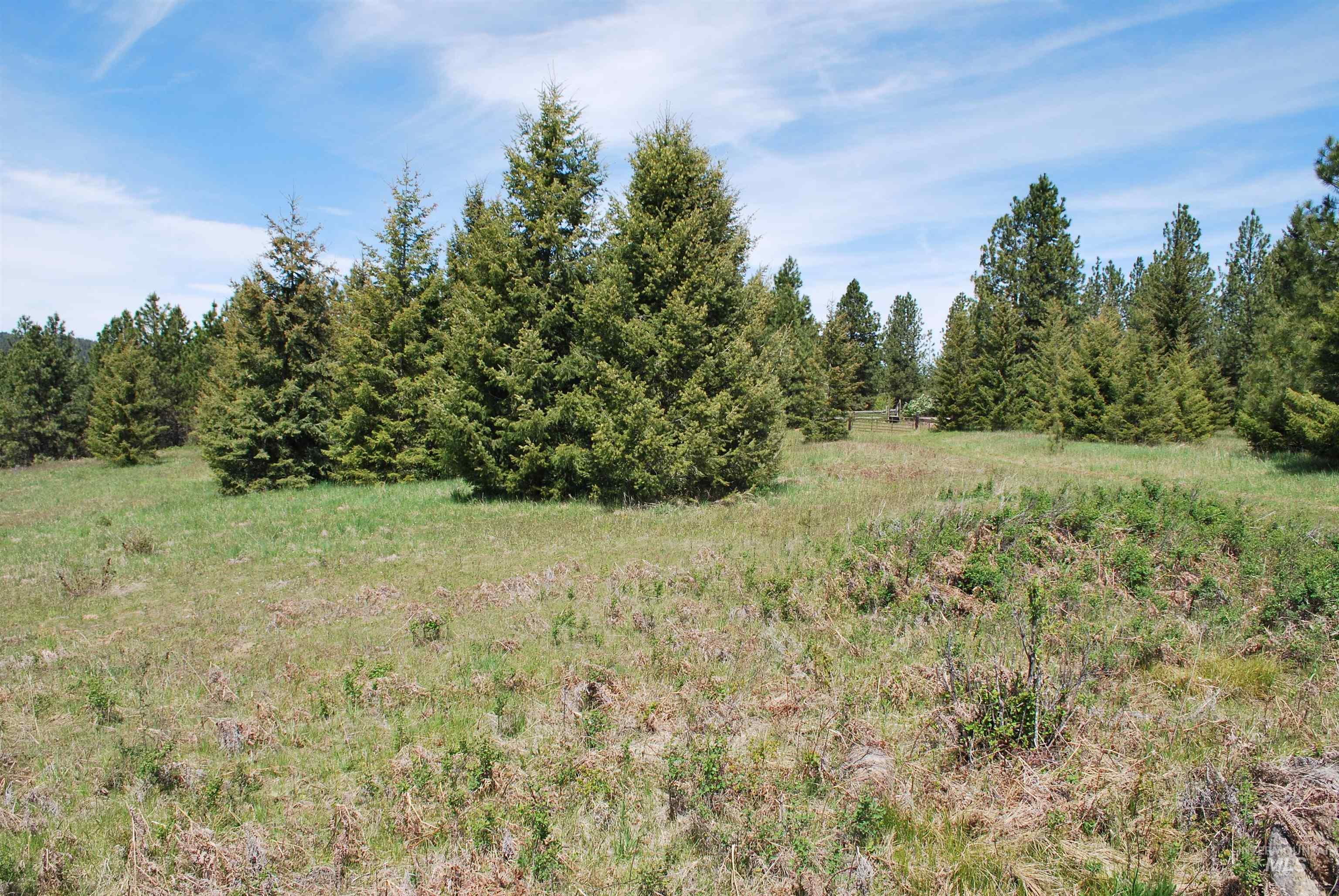 4975 Middle Road, Lenore, Idaho 83541, 1 Bedroom, 1.5 Bathrooms, Residential For Sale, Price $1,950,000, 98946171