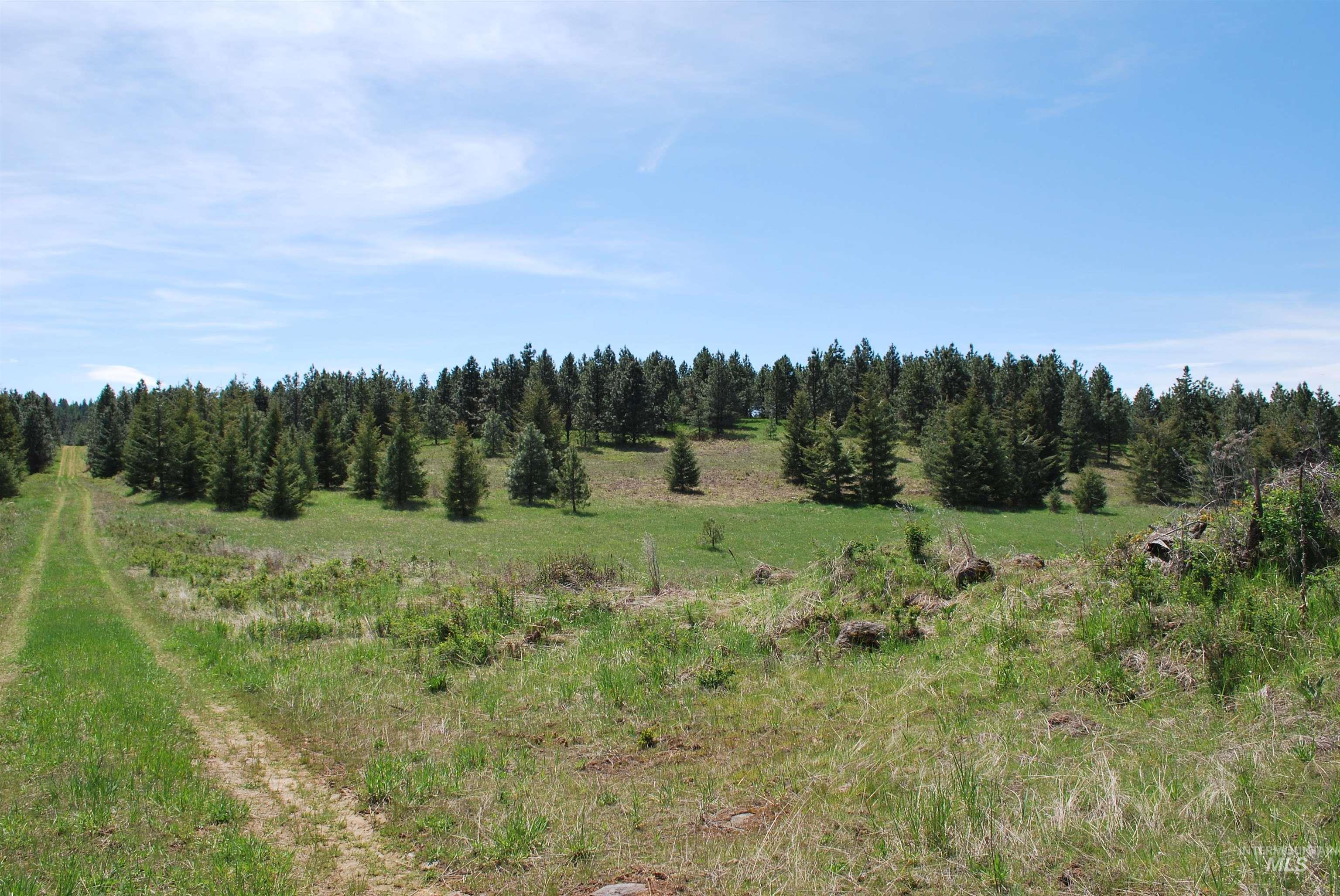 4975 Middle Road, Lenore, Idaho 83541, 1 Bedroom, 1.5 Bathrooms, Residential For Sale, Price $1,950,000, 98946171