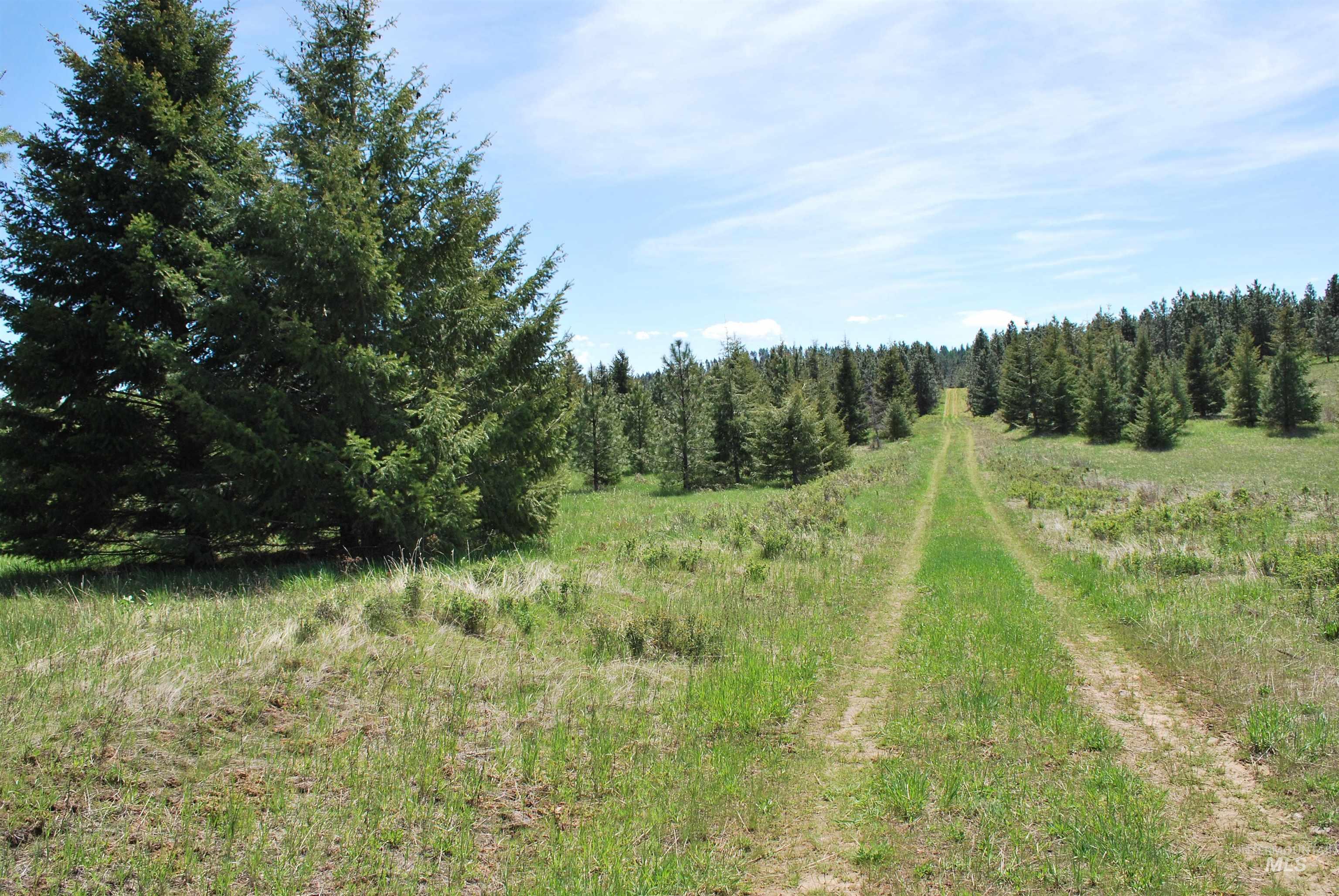 4975 Middle Road, Lenore, Idaho 83541, 1 Bedroom, 1.5 Bathrooms, Residential For Sale, Price $1,950,000, 98946171