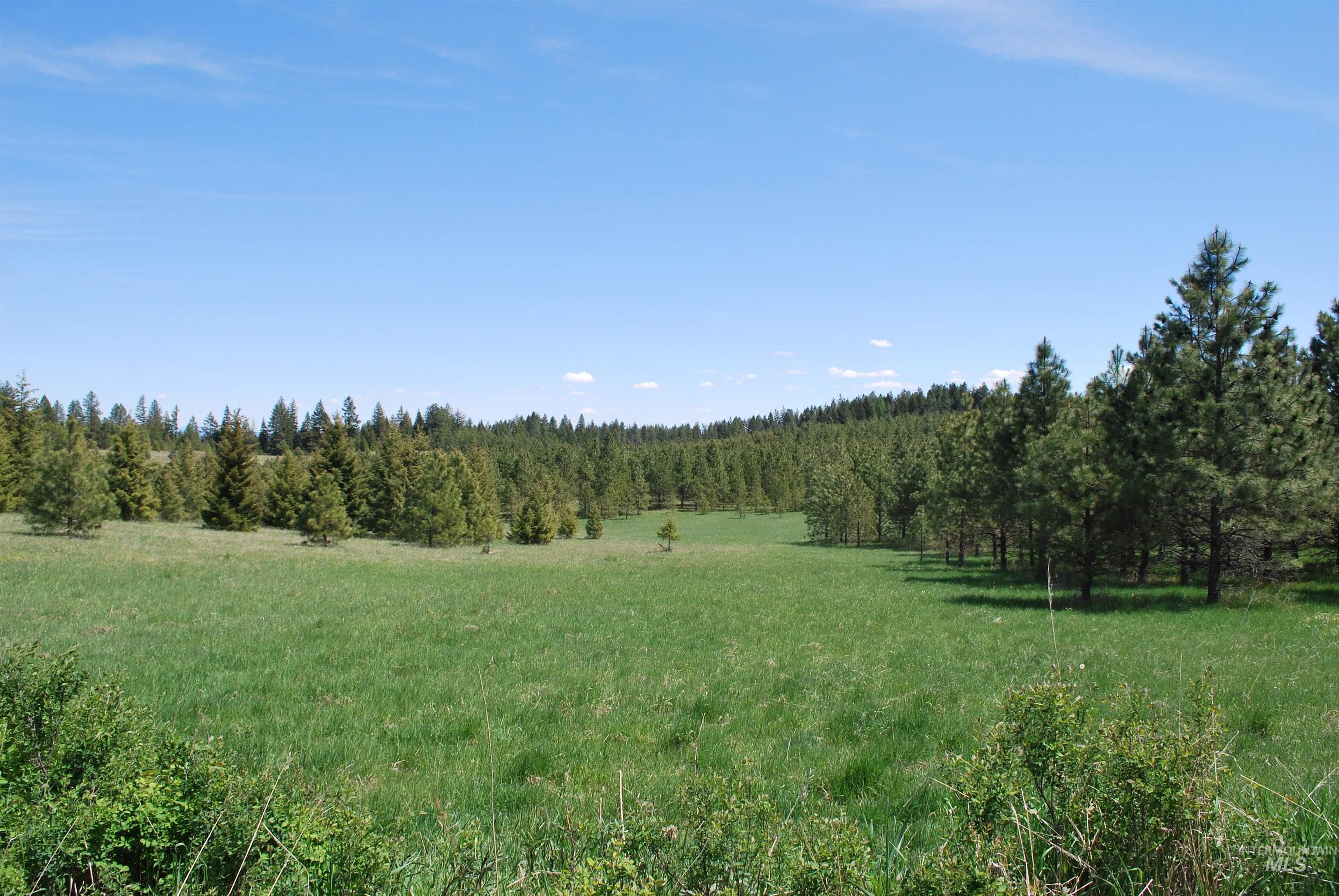 4975 Middle Road, Lenore, Idaho 83541, 1 Bedroom, 1.5 Bathrooms, Residential For Sale, Price $1,950,000, 98946171