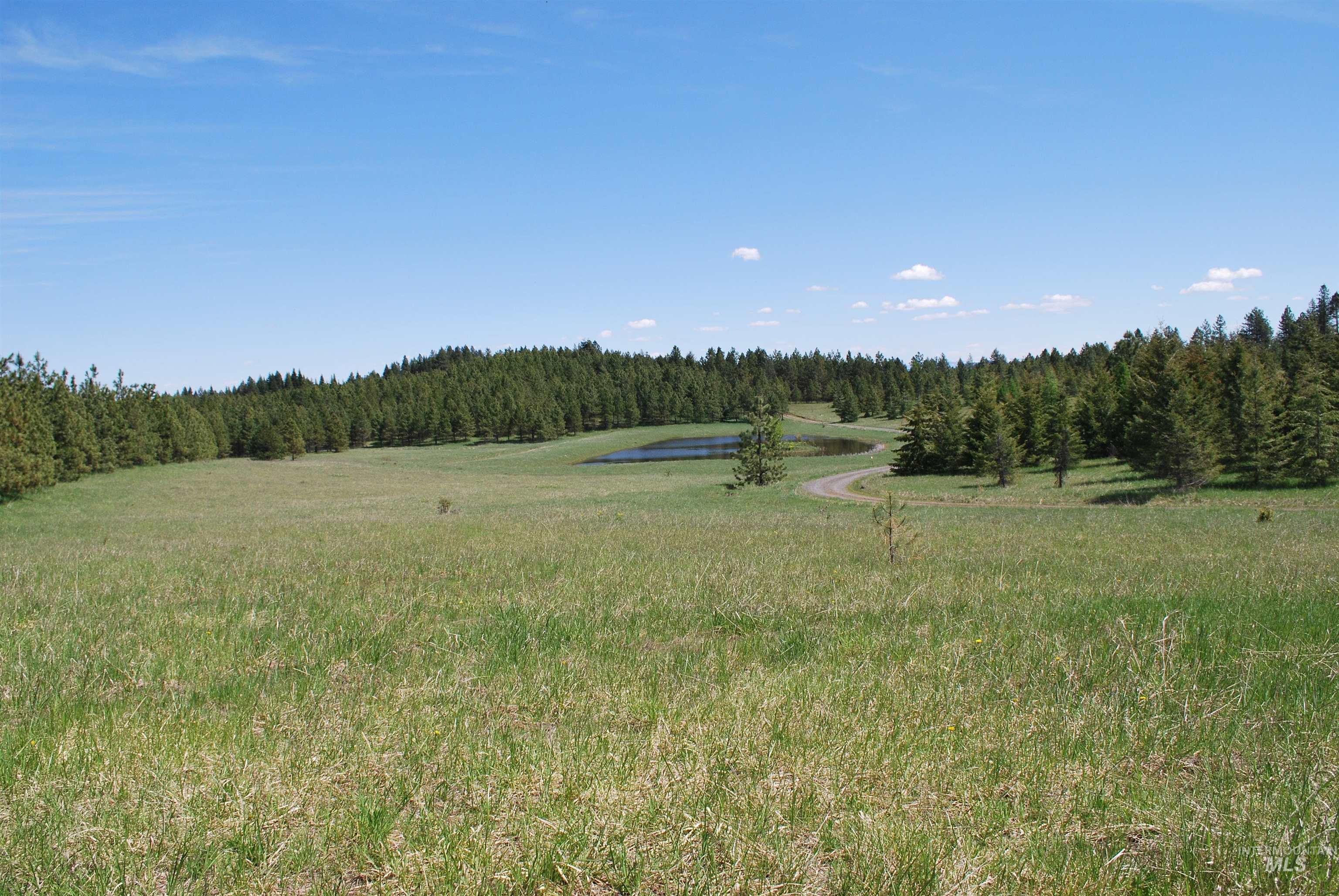 4975 Middle Road, Lenore, Idaho 83541, 1 Bedroom, 1.5 Bathrooms, Residential For Sale, Price $1,950,000, 98946171