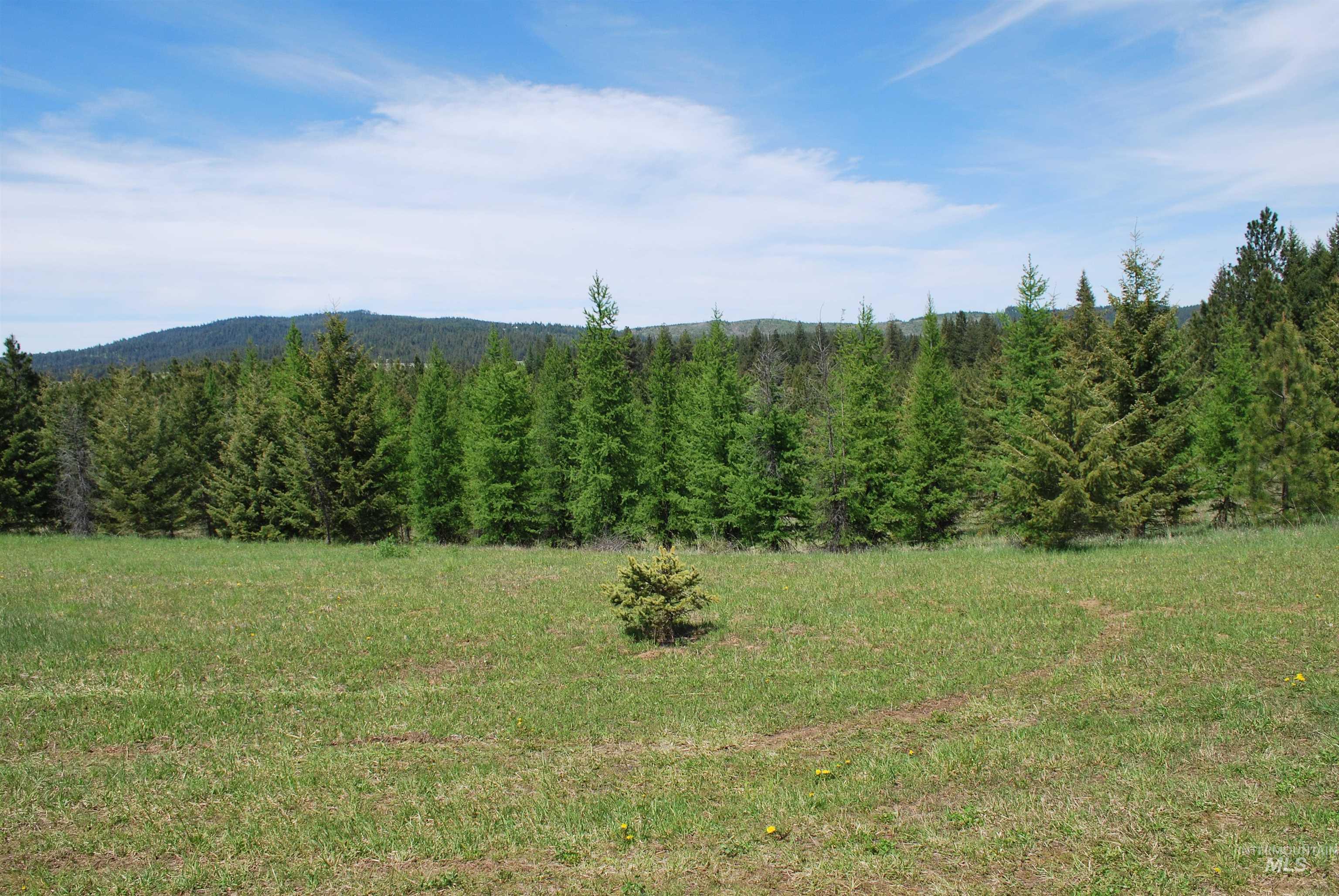 4975 Middle Road, Lenore, Idaho 83541, 1 Bedroom, 1.5 Bathrooms, Residential For Sale, Price $1,950,000, 98946171