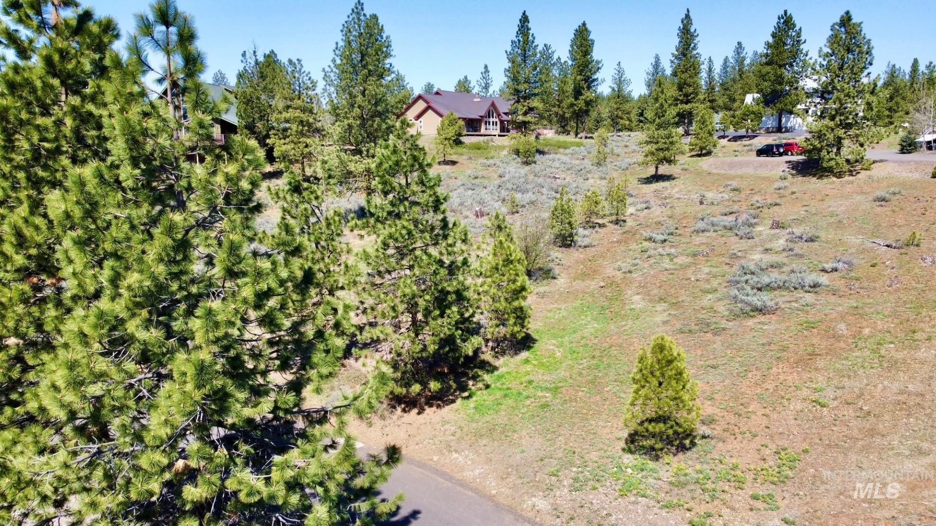 TBD Yarrow Drive, New Meadows, Idaho 83654, Land For Sale, Price $109,900, 98946173