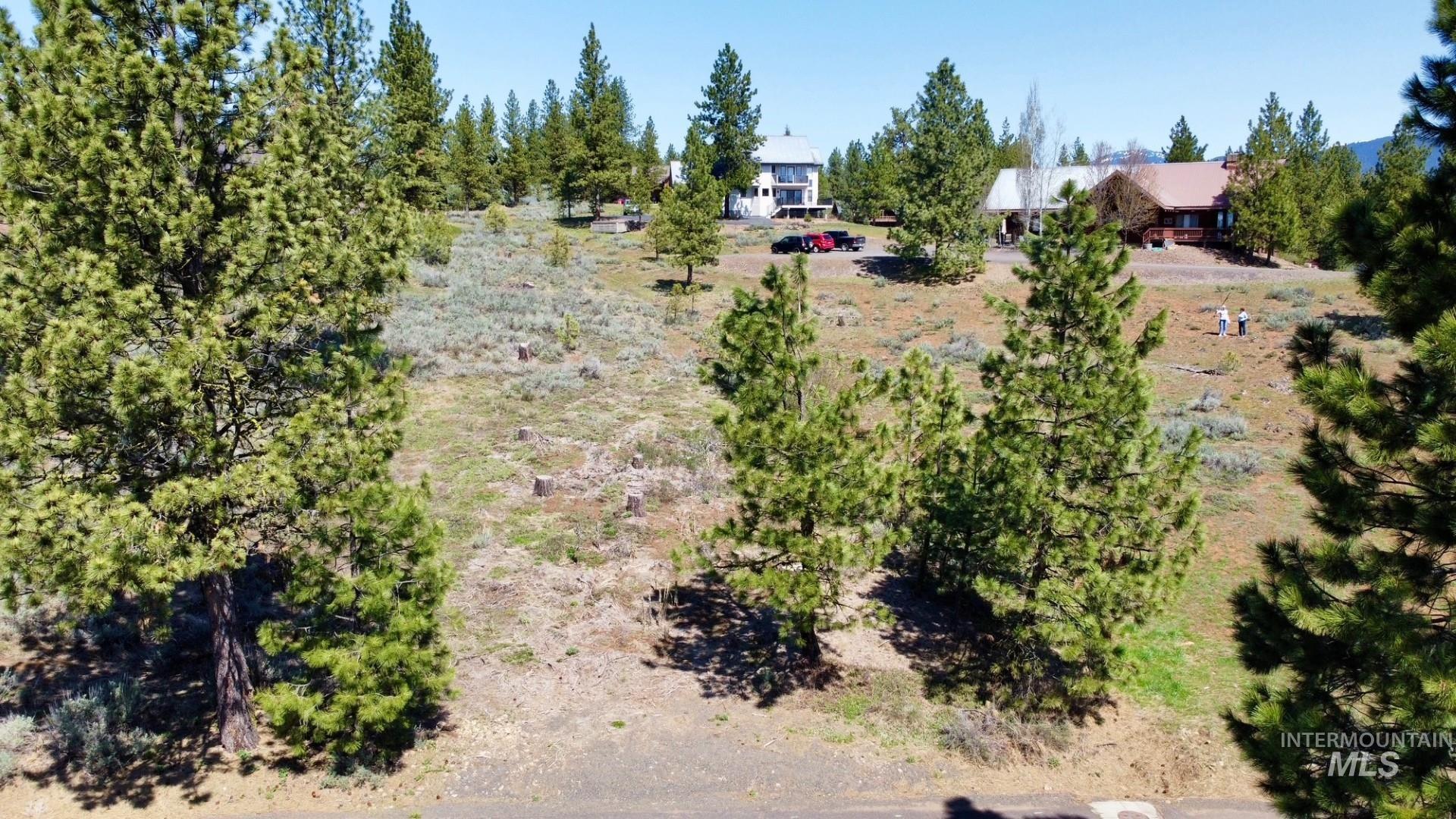 TBD Yarrow Drive, New Meadows, Idaho 83654, Land For Sale, Price $109,900, 98946173