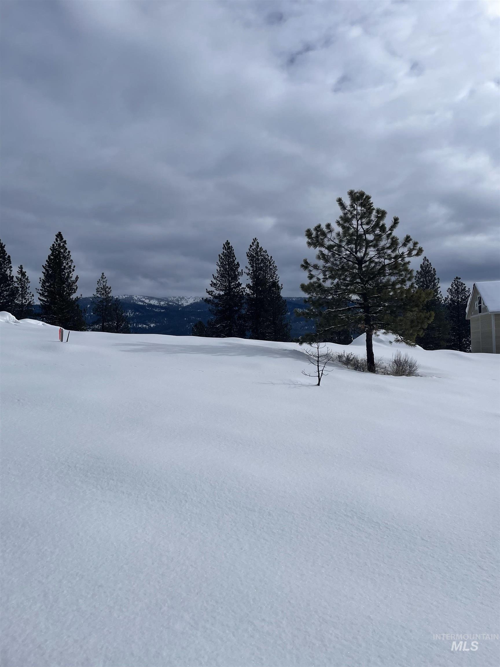 TBD Yarrow Drive, New Meadows, Idaho 83654, Land For Sale, Price $109,900, 98946173