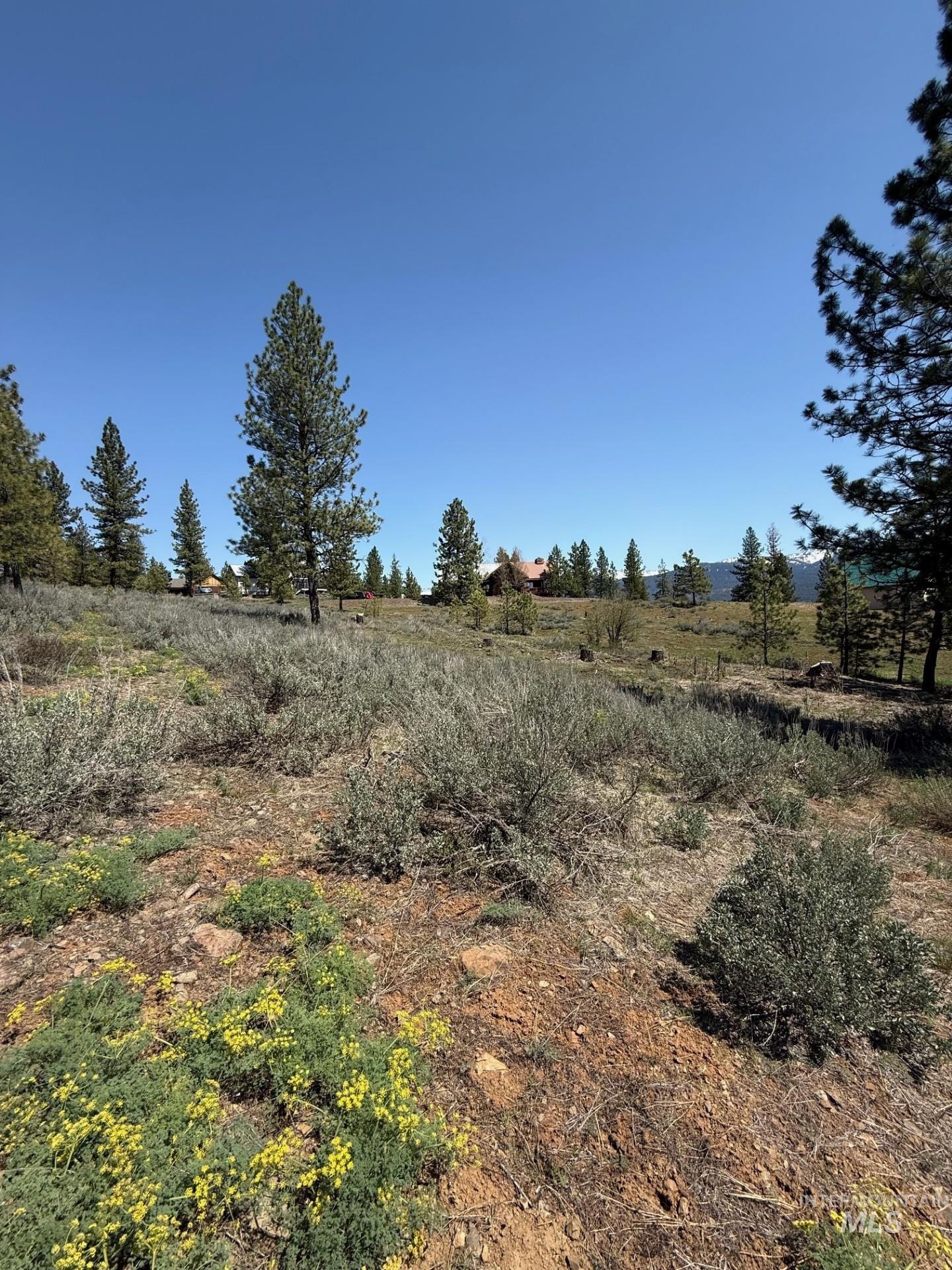 TBD Yarrow Drive, New Meadows, Idaho 83654, Land For Sale, Price $109,900, 98946173