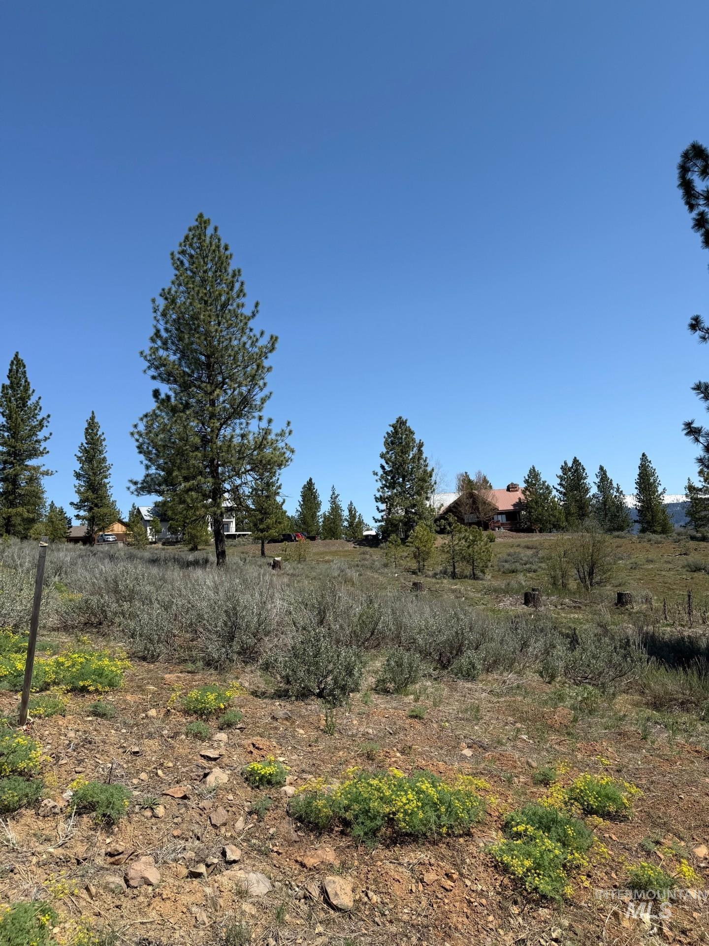 TBD Yarrow Drive, New Meadows, Idaho 83654, Land For Sale, Price $109,900, 98946173