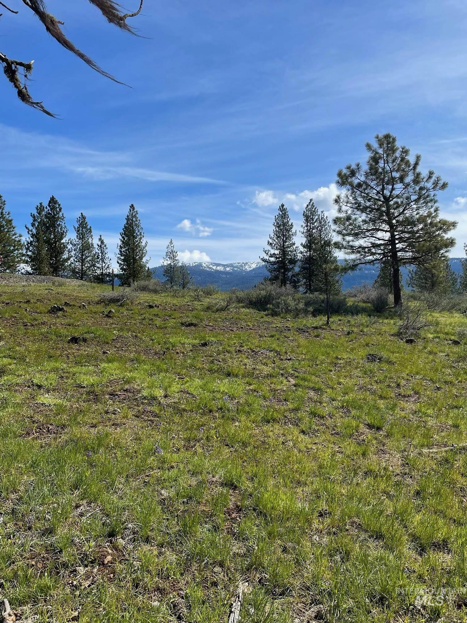 TBD Yarrow Drive, New Meadows, Idaho 83654, Land For Sale, Price $109,900, 98946173
