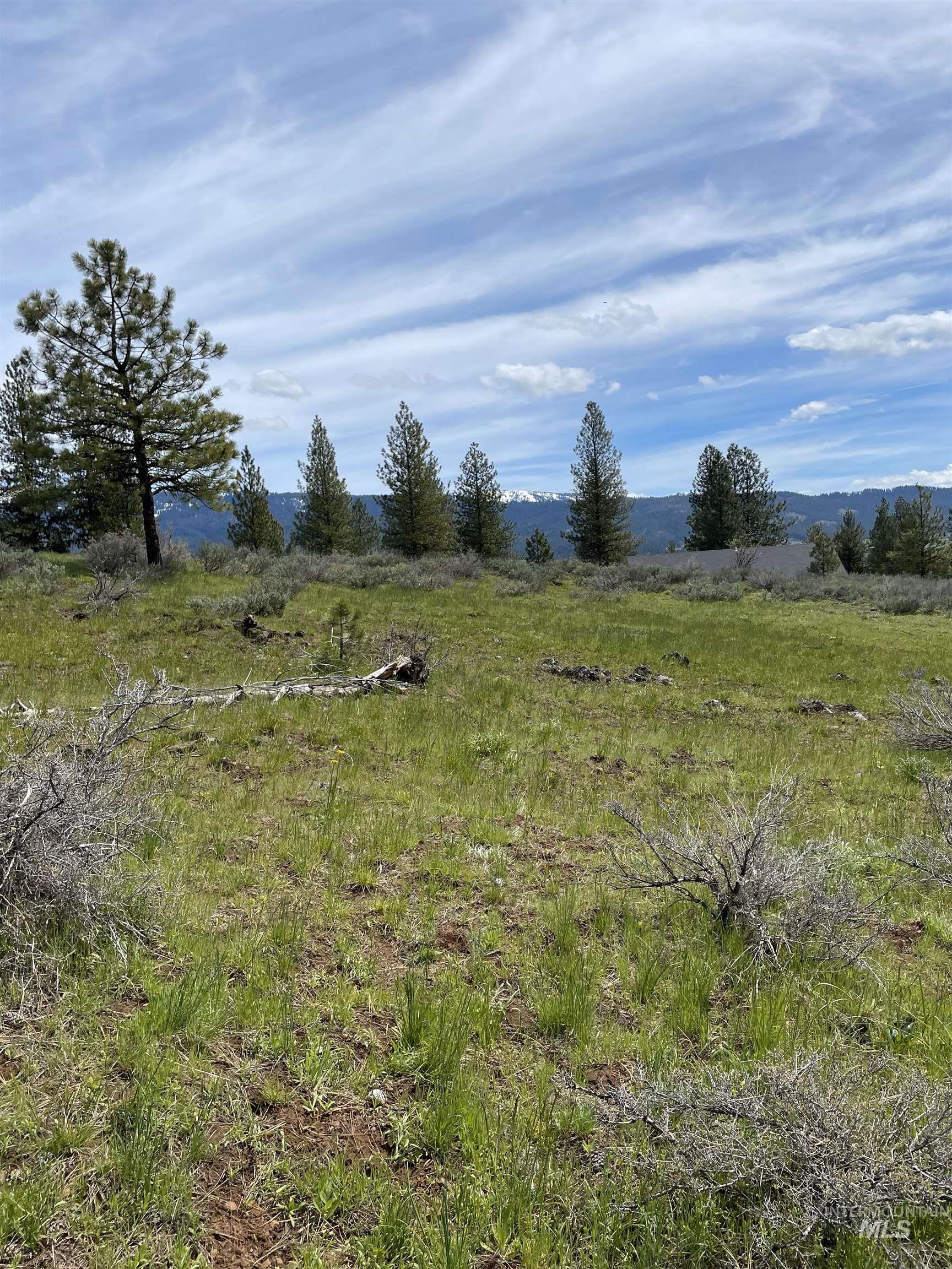 TBD Yarrow Drive, New Meadows, Idaho 83654, Land For Sale, Price $109,900, 98946173