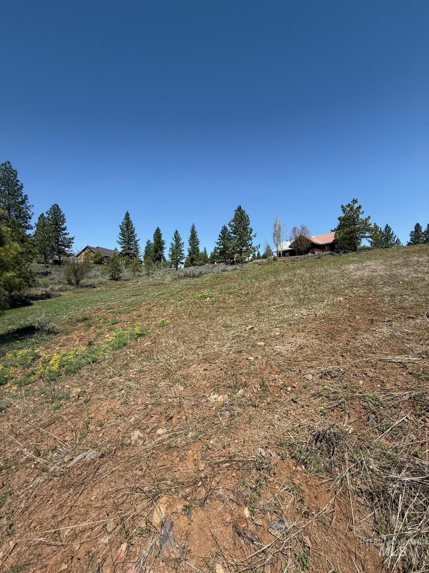 TBD Yarrow Drive, New Meadows, Idaho 83654, Land For Sale, Price $109,900, 98946173