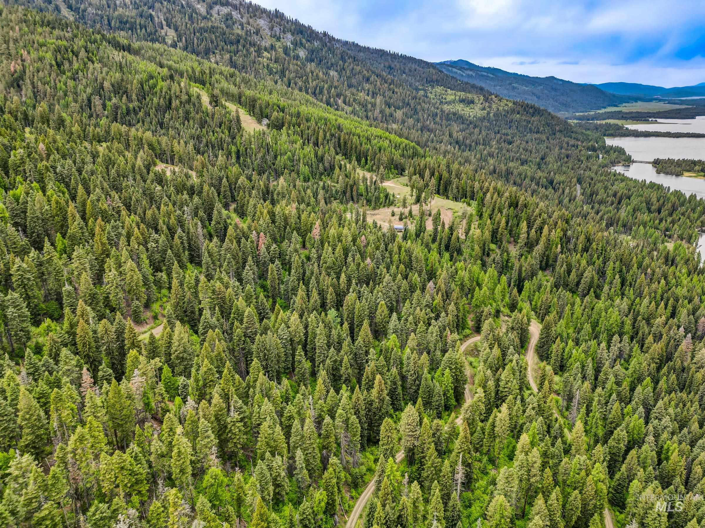 2267 Franks Road, Donnelly, Idaho 83615, Land For Sale, Price $399,900, 98946188