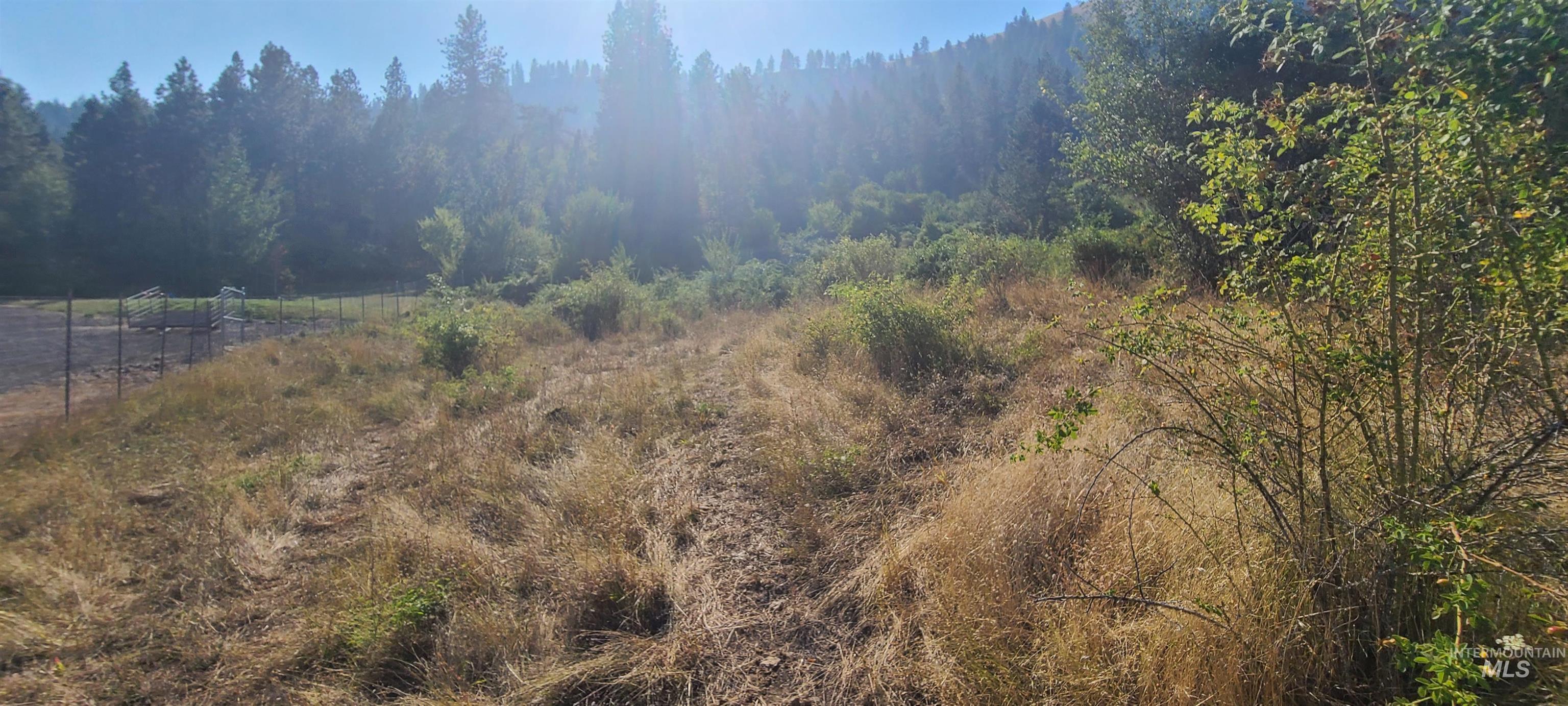 TBD Riverview Lane, Kamiah, Idaho 83536, Land For Sale, Price $78,400, 98946219