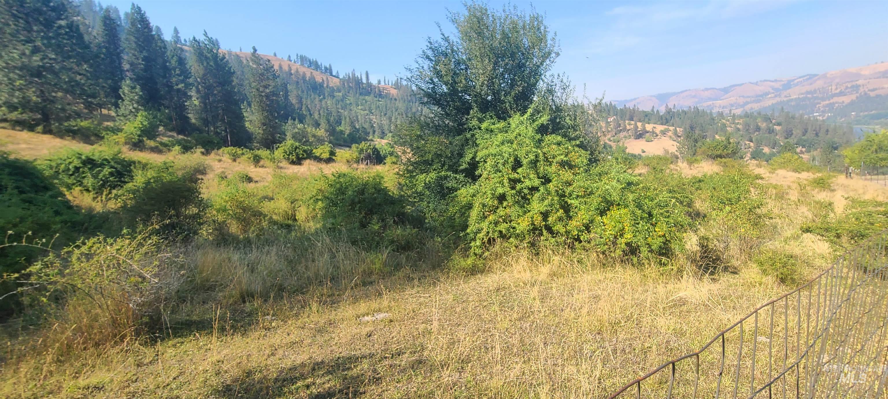 TBD Riverview Lane, Kamiah, Idaho 83536, Land For Sale, Price $78,400, 98946219