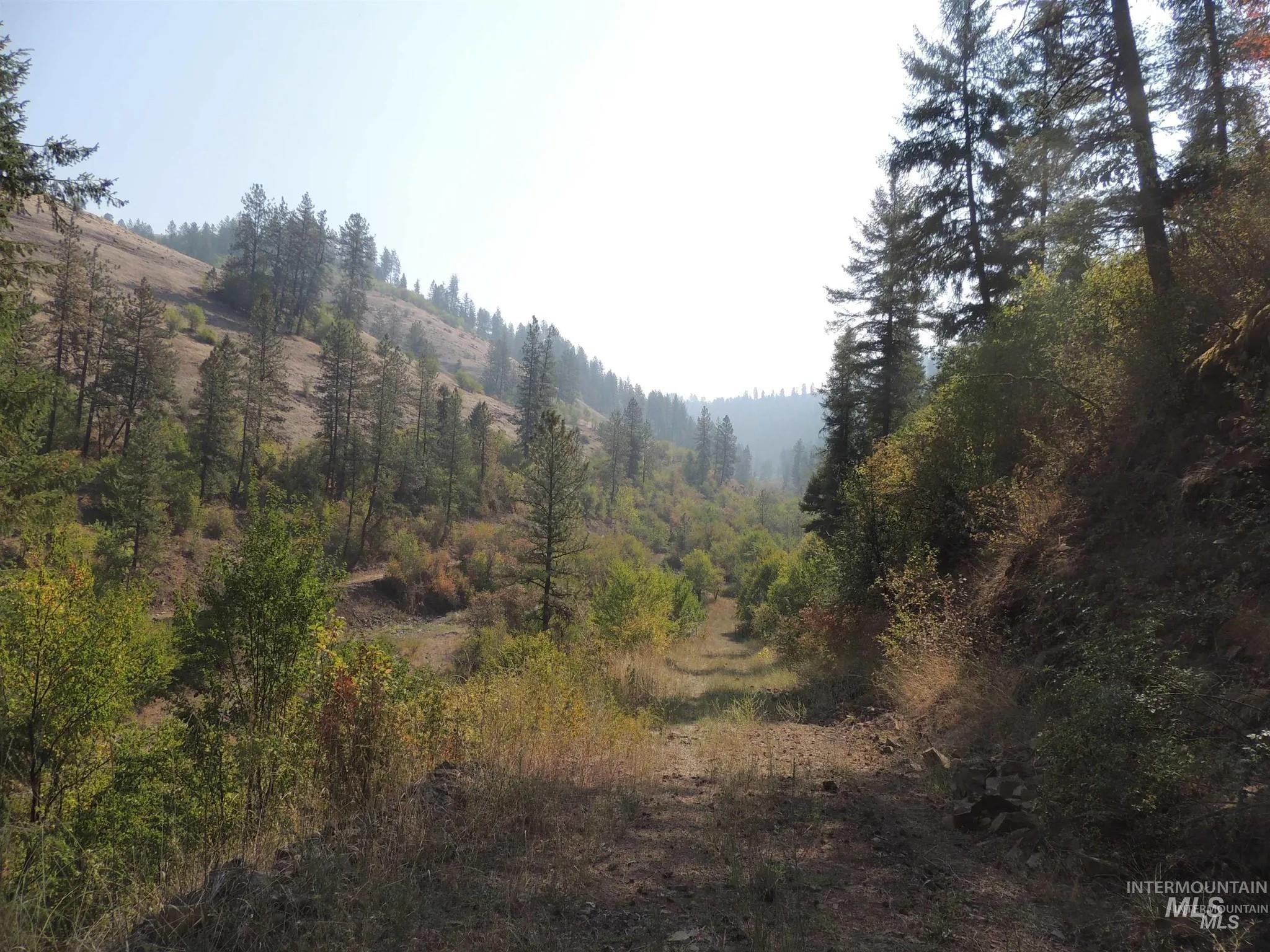160, 204, 152 Rabbit Creek Road, Stites, Idaho 83552, Land For Sale, Price $349,900, 98946221