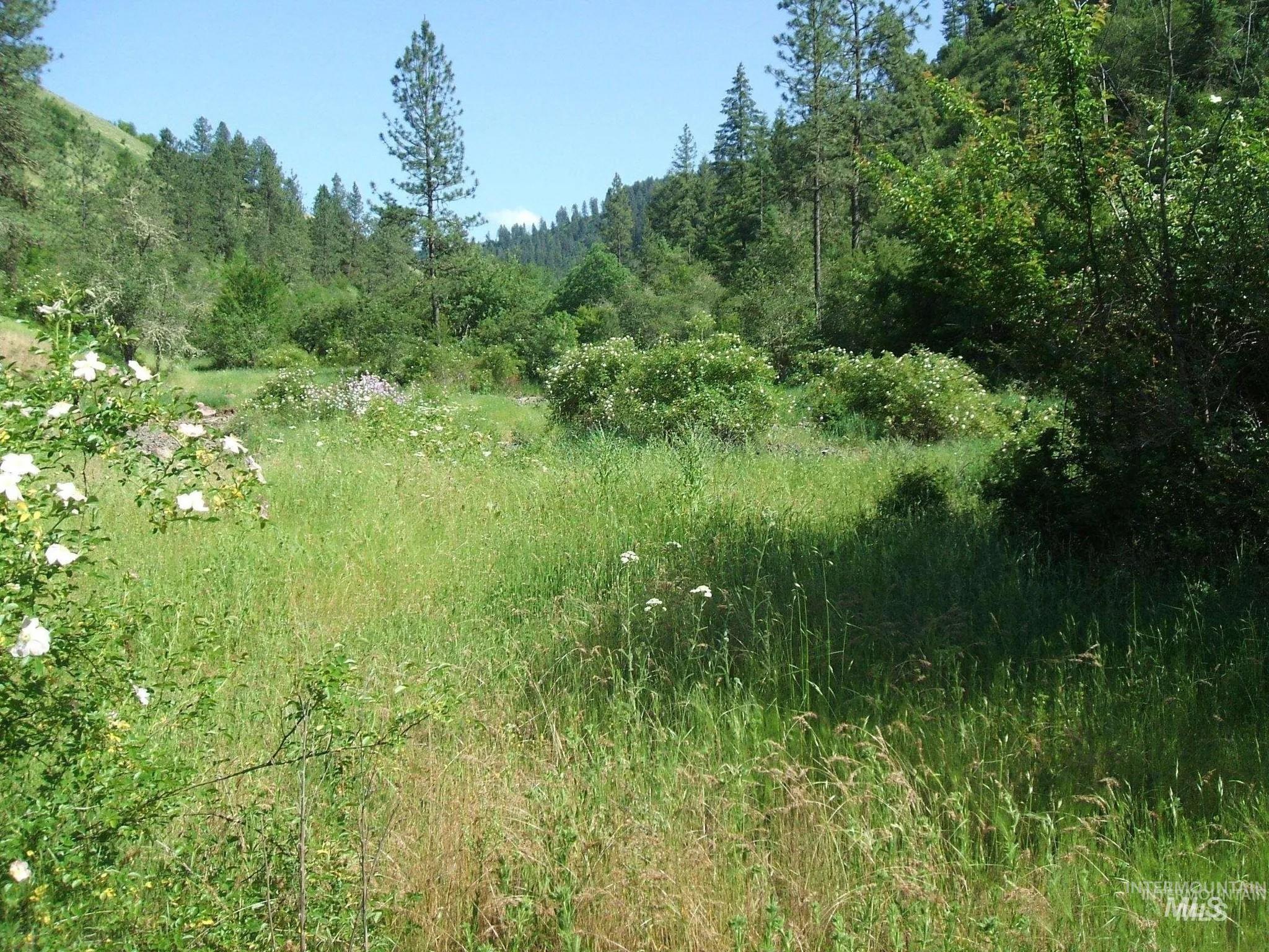 160, 204, 152 Rabbit Creek Road, Stites, Idaho 83552, Land For Sale, Price $349,900, 98946221
