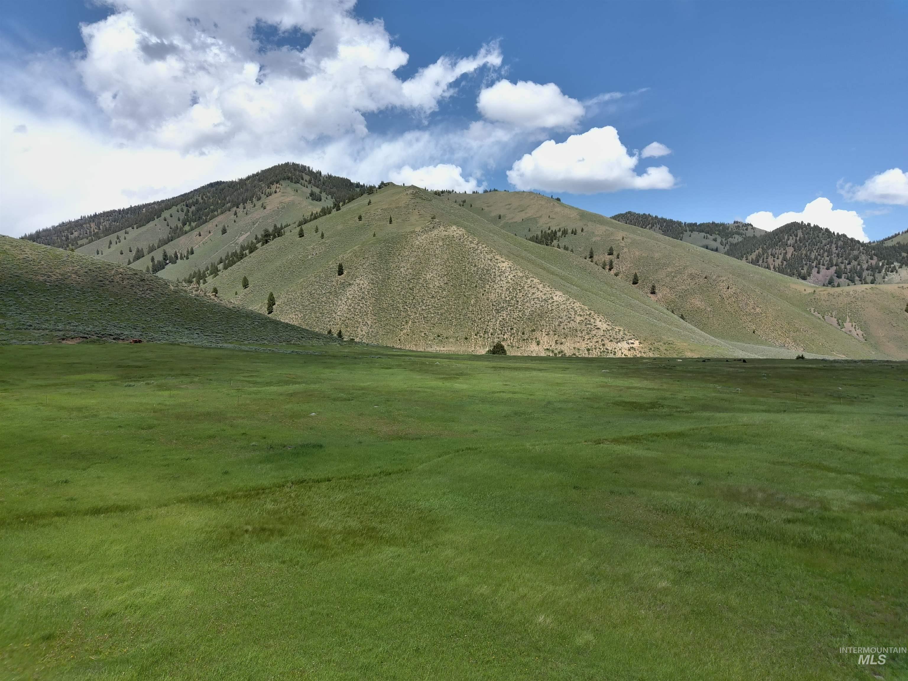 Parcel A Aspen Gulch, Stanley, Idaho 83278, Land For Sale, Price $525,000, 98946236