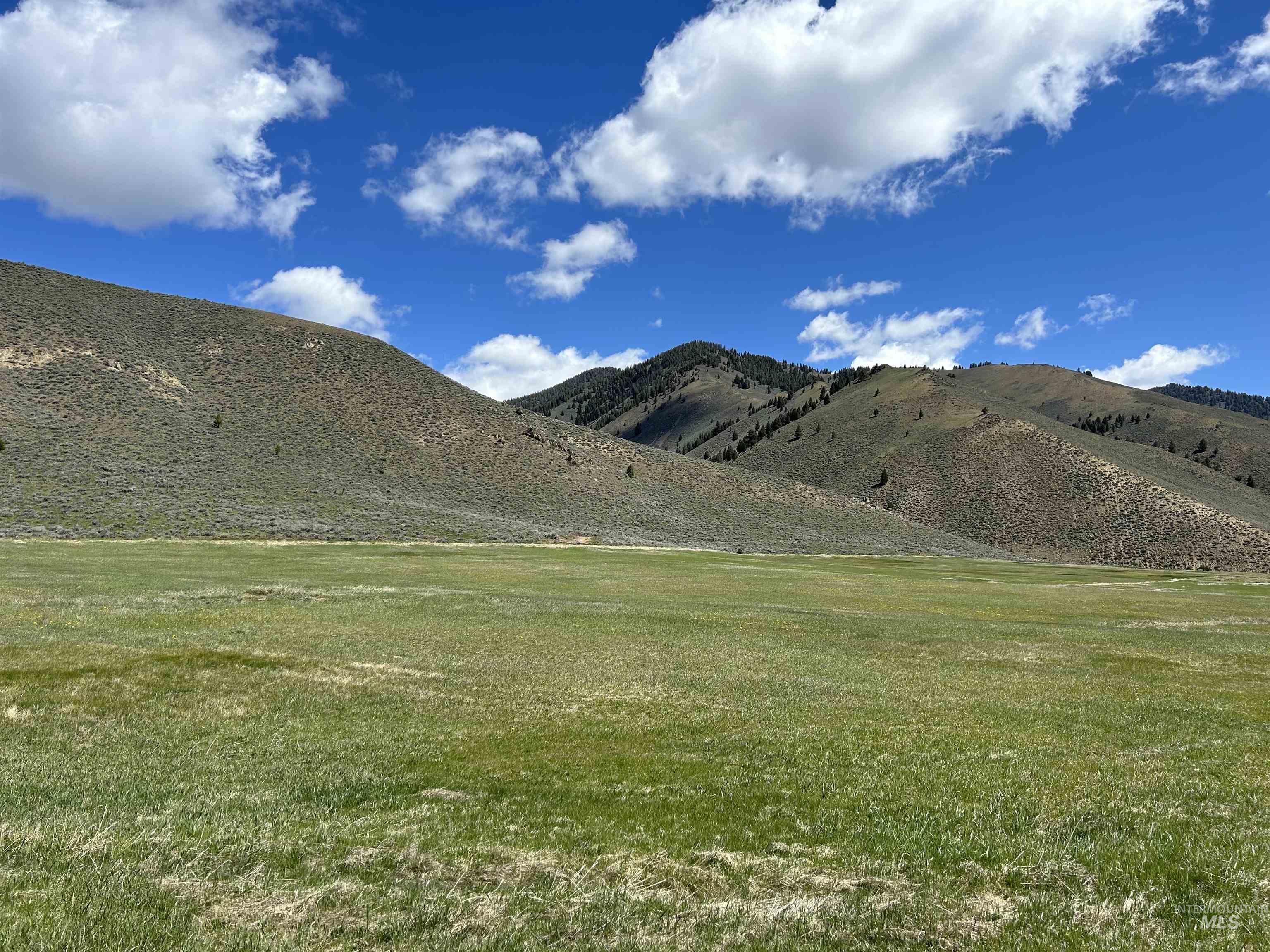 Parcel A Aspen Gulch, Stanley, Idaho 83278, Land For Sale, Price $525,000, 98946236