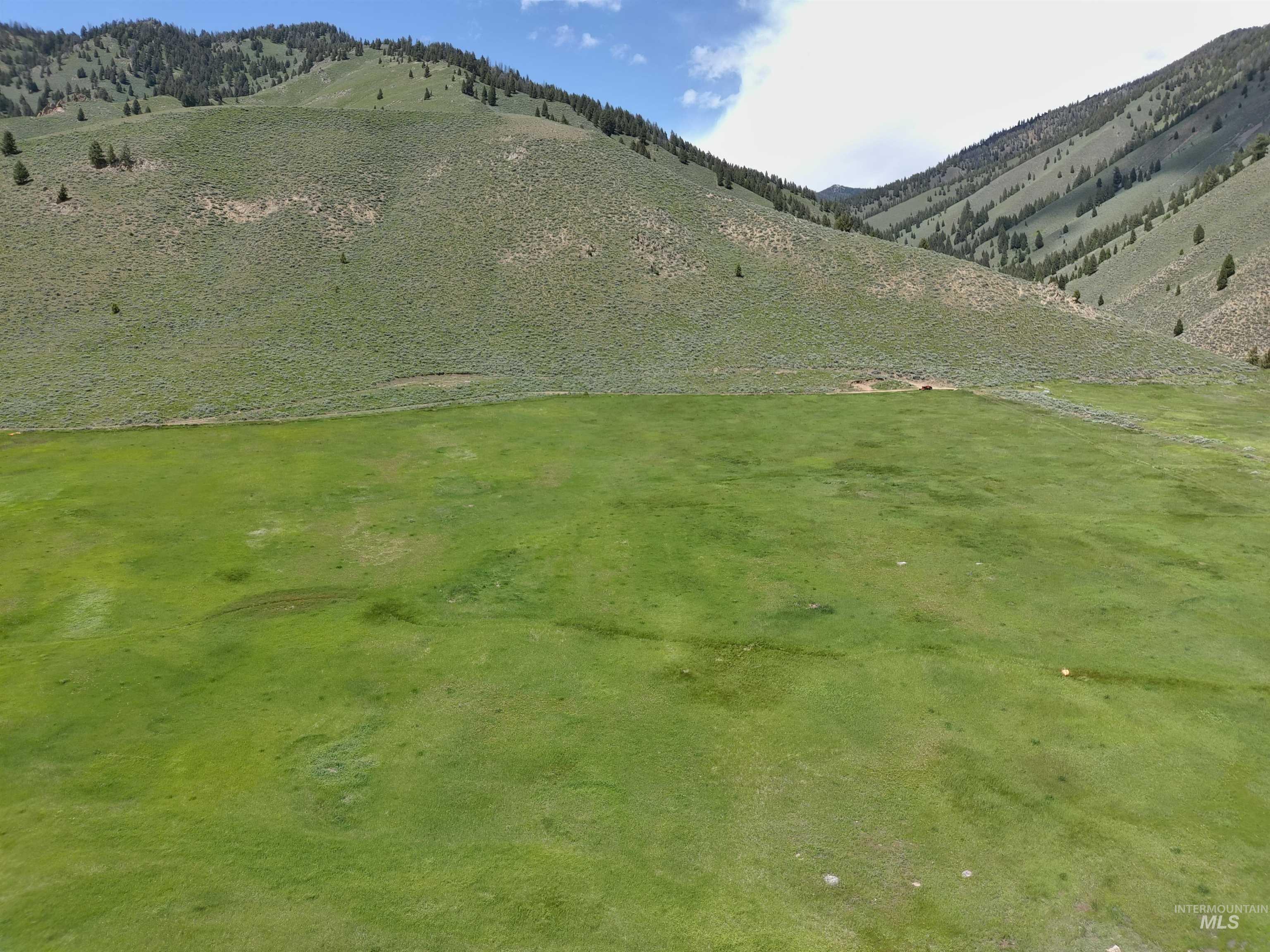 Parcel A Aspen Gulch, Stanley, Idaho 83278, Land For Sale, Price $525,000, 98946236