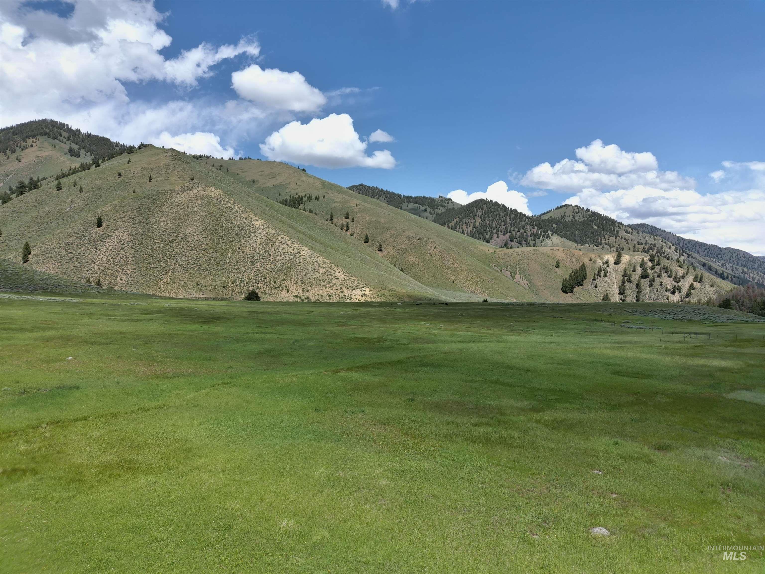 Parcel A Aspen Gulch, Stanley, Idaho 83278, Land For Sale, Price $525,000, 98946236