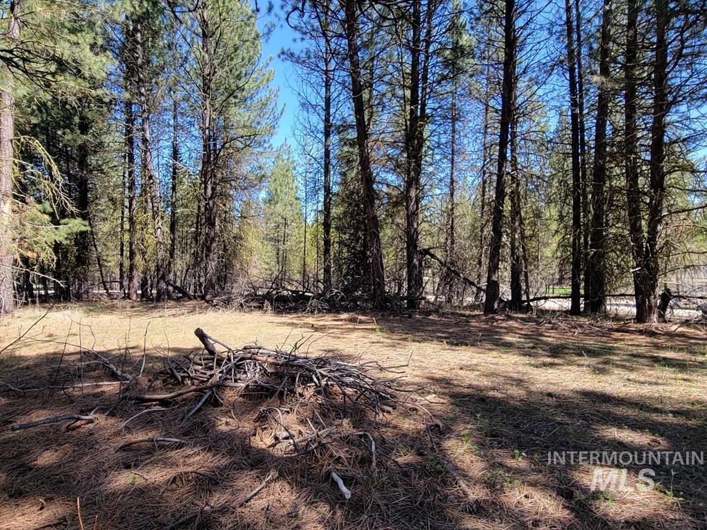 110 E Prospectors Drive, Cascade, Idaho 83611, Land For Sale, Price $149,900,MLS 98946290