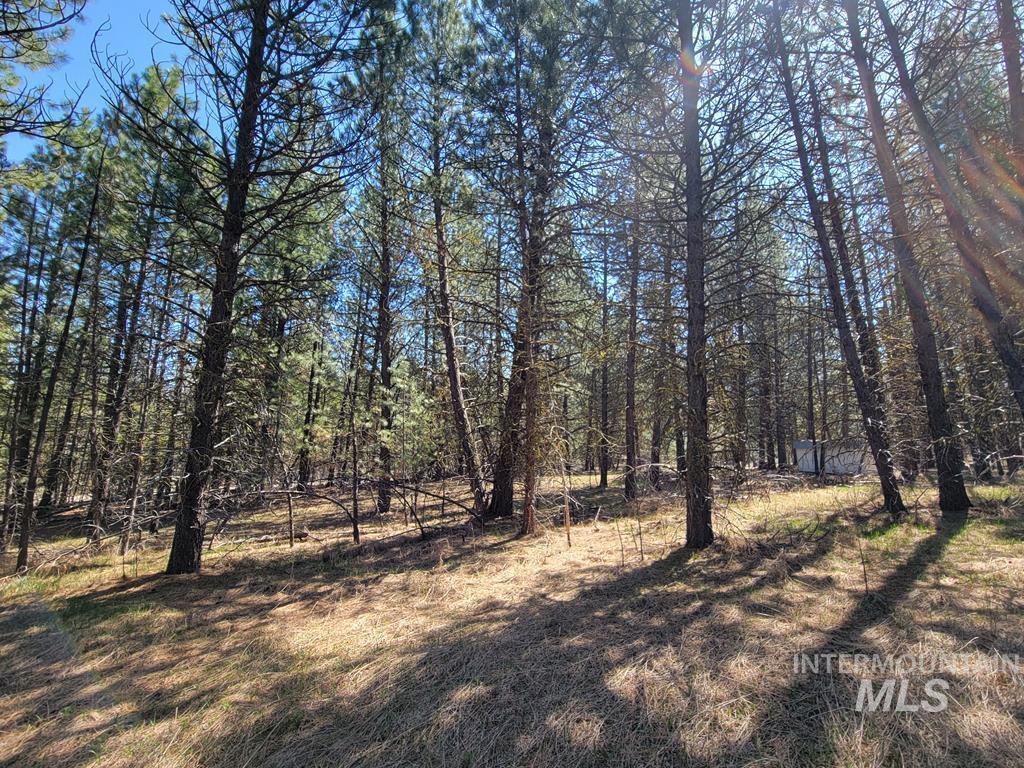110 E Prospectors Drive, Cascade, Idaho 83611, Land For Sale, Price $149,900, 98946290