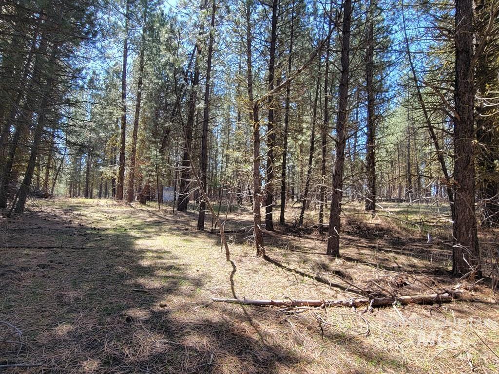 110 E Prospectors Drive, Cascade, Idaho 83611, Land For Sale, Price $149,900, 98946290