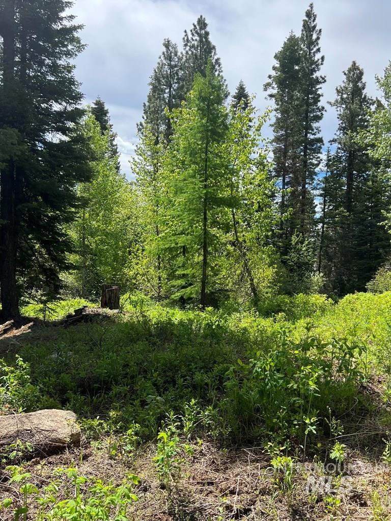 76 Arling Trail, Donnelly, Idaho 83615, Land For Sale, Price $329,000, 98946302