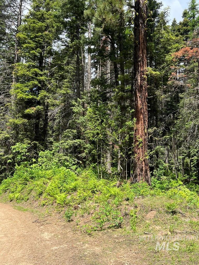 76 Arling Trail, Donnelly, Idaho 83615, Land For Sale, Price $329,000, 98946302