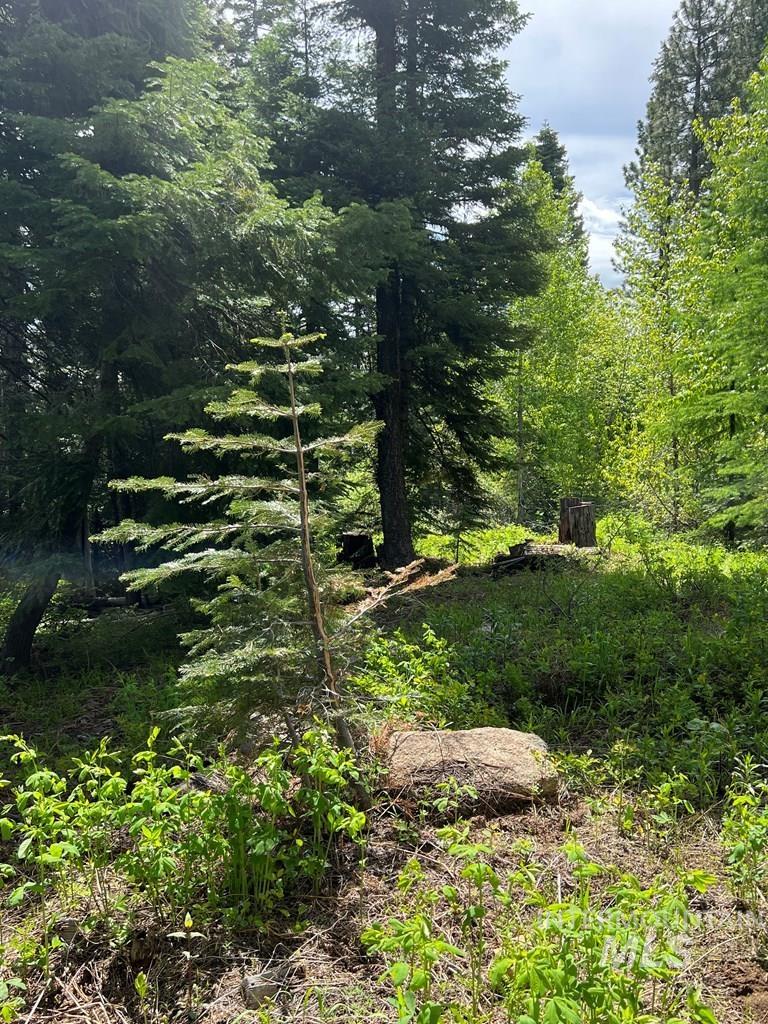 76 Arling Trail, Donnelly, Idaho 83615, Land For Sale, Price $329,000, 98946302